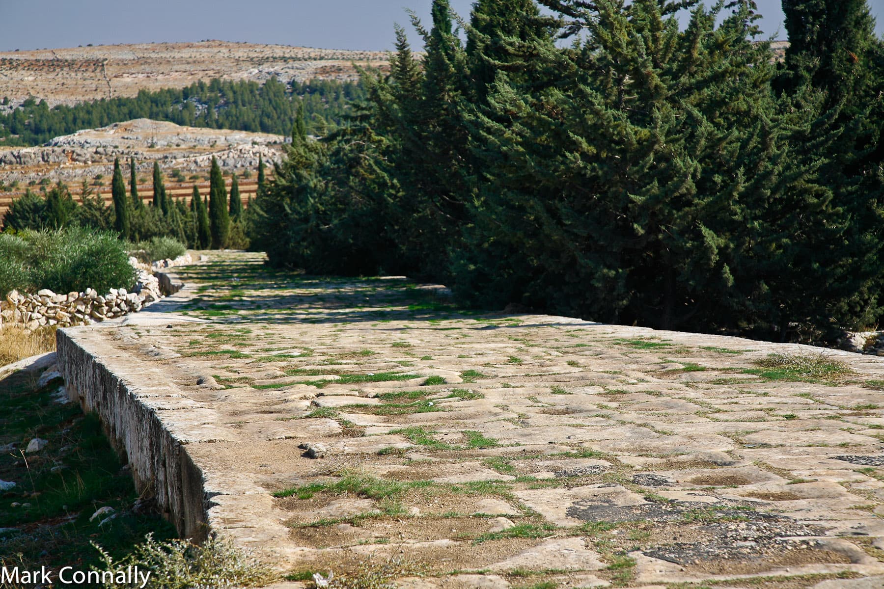 Roman Road in Syria