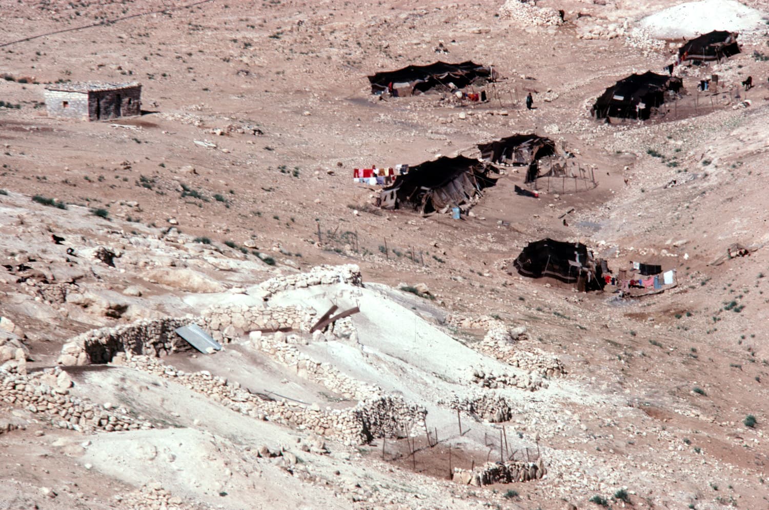 Bedouin Encampment