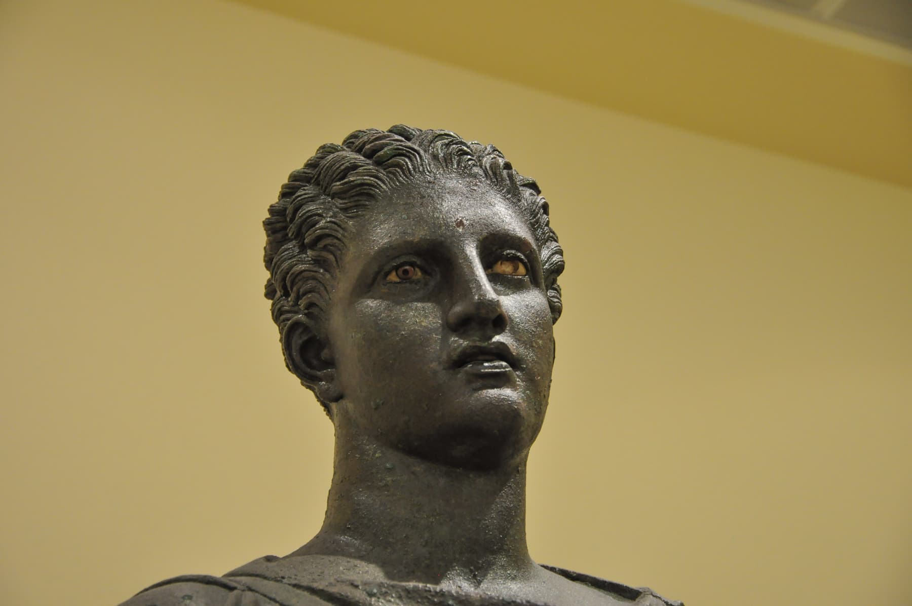 Artemis A Head
