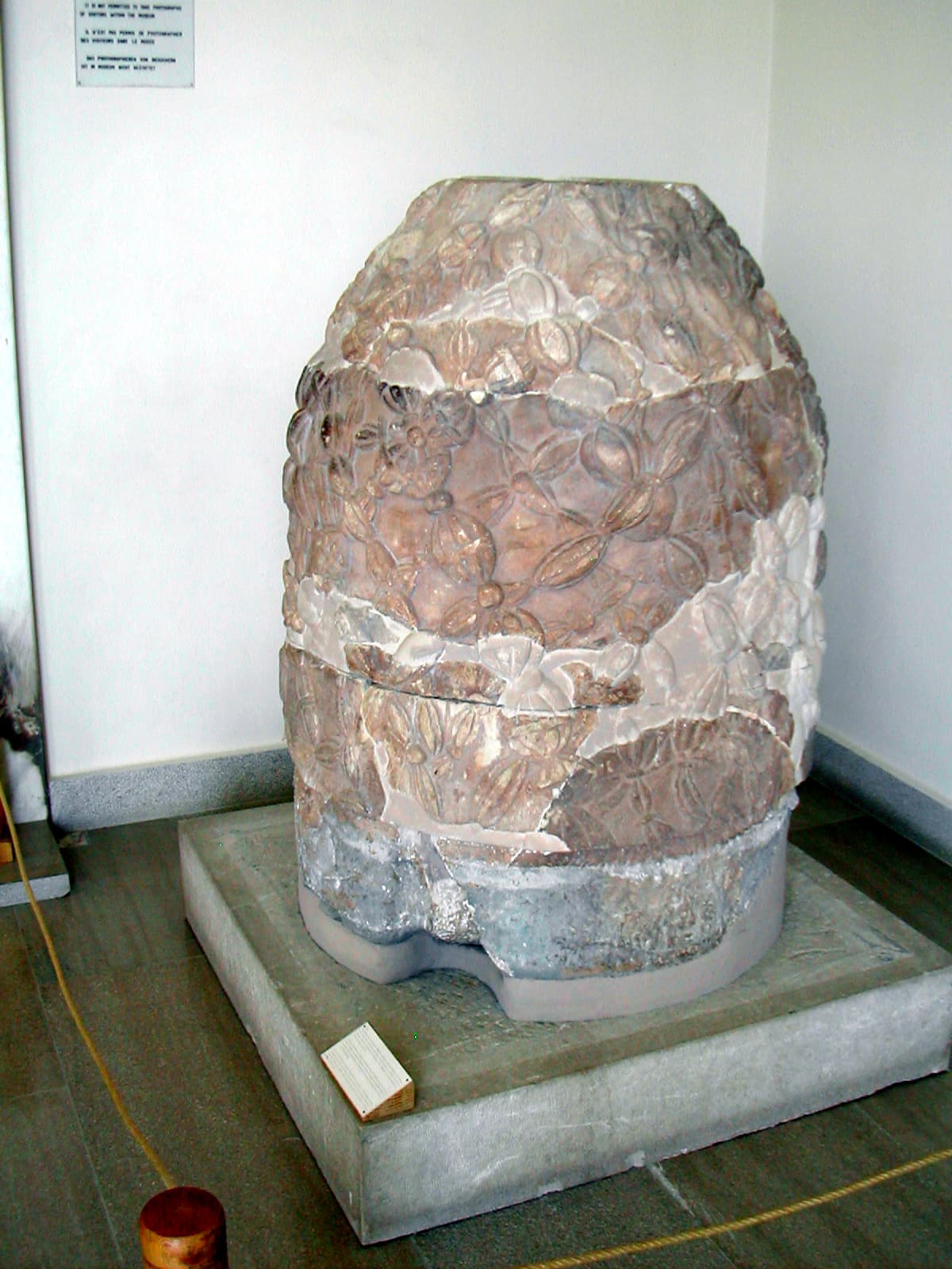 Omphalos