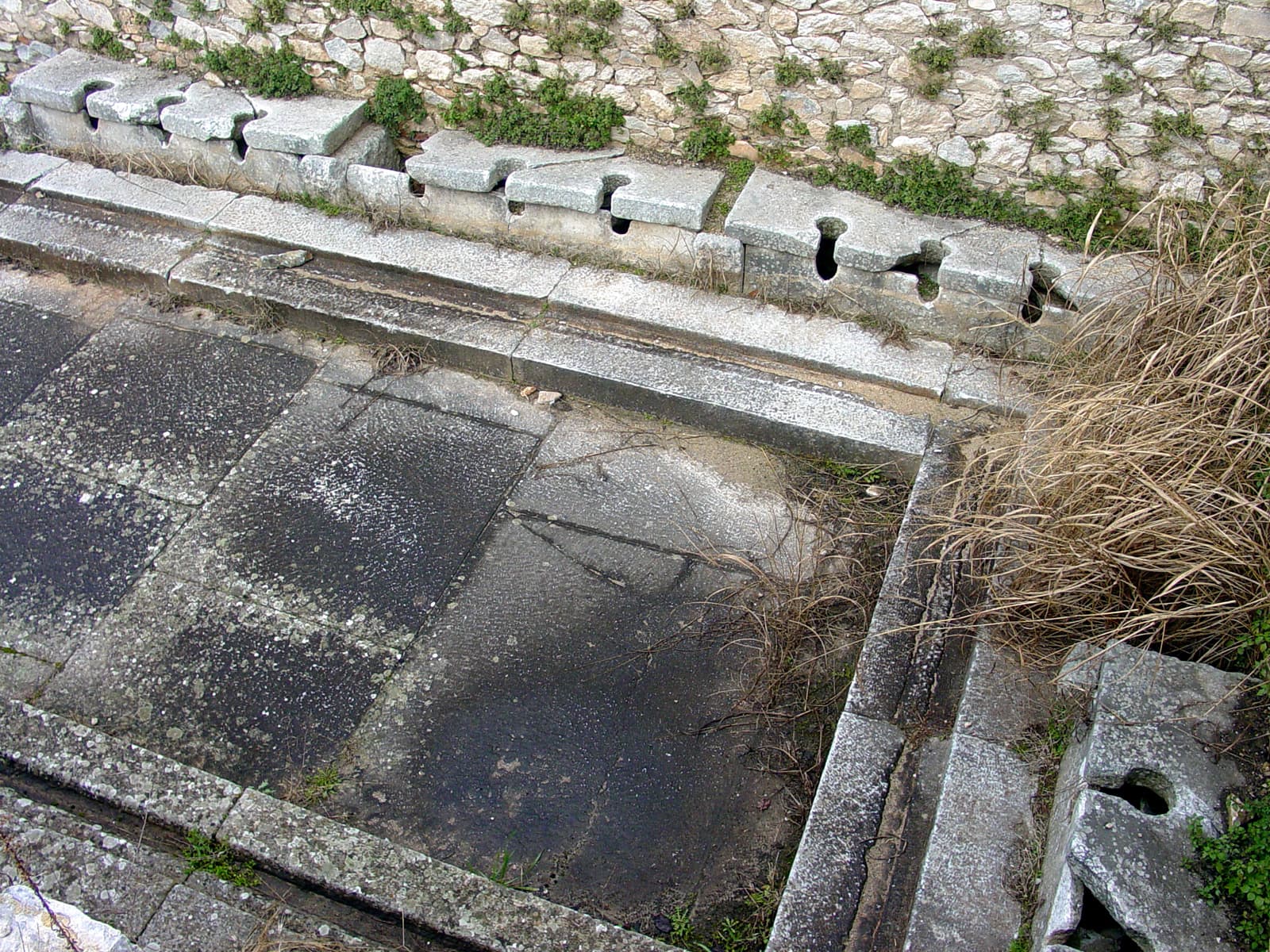 Latrine (1)