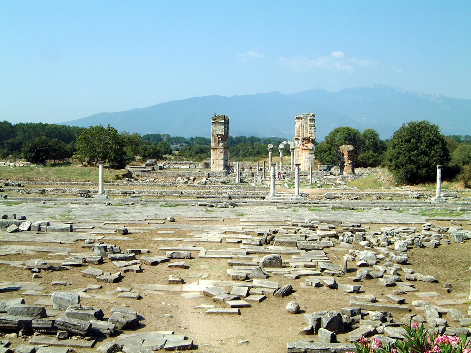 Forum (1)