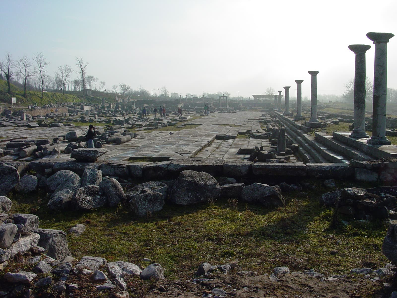 Forum (2)