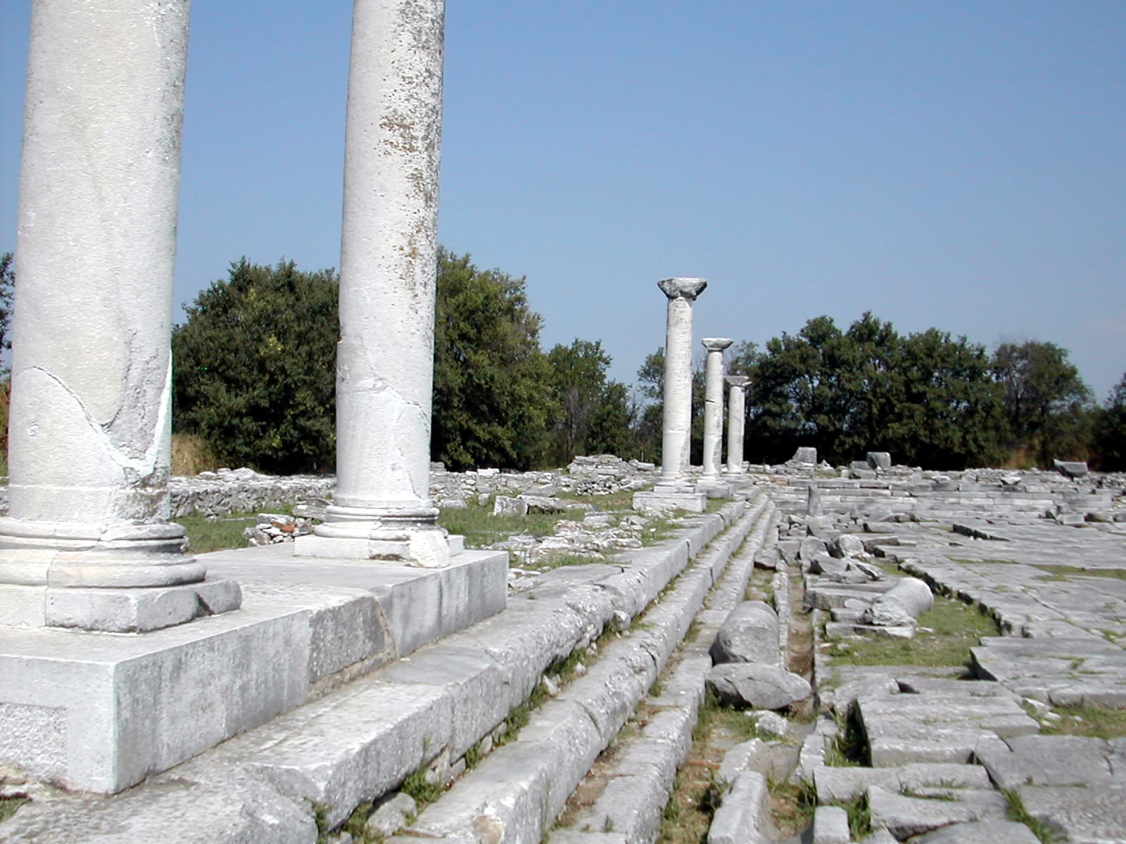 Forum (3)