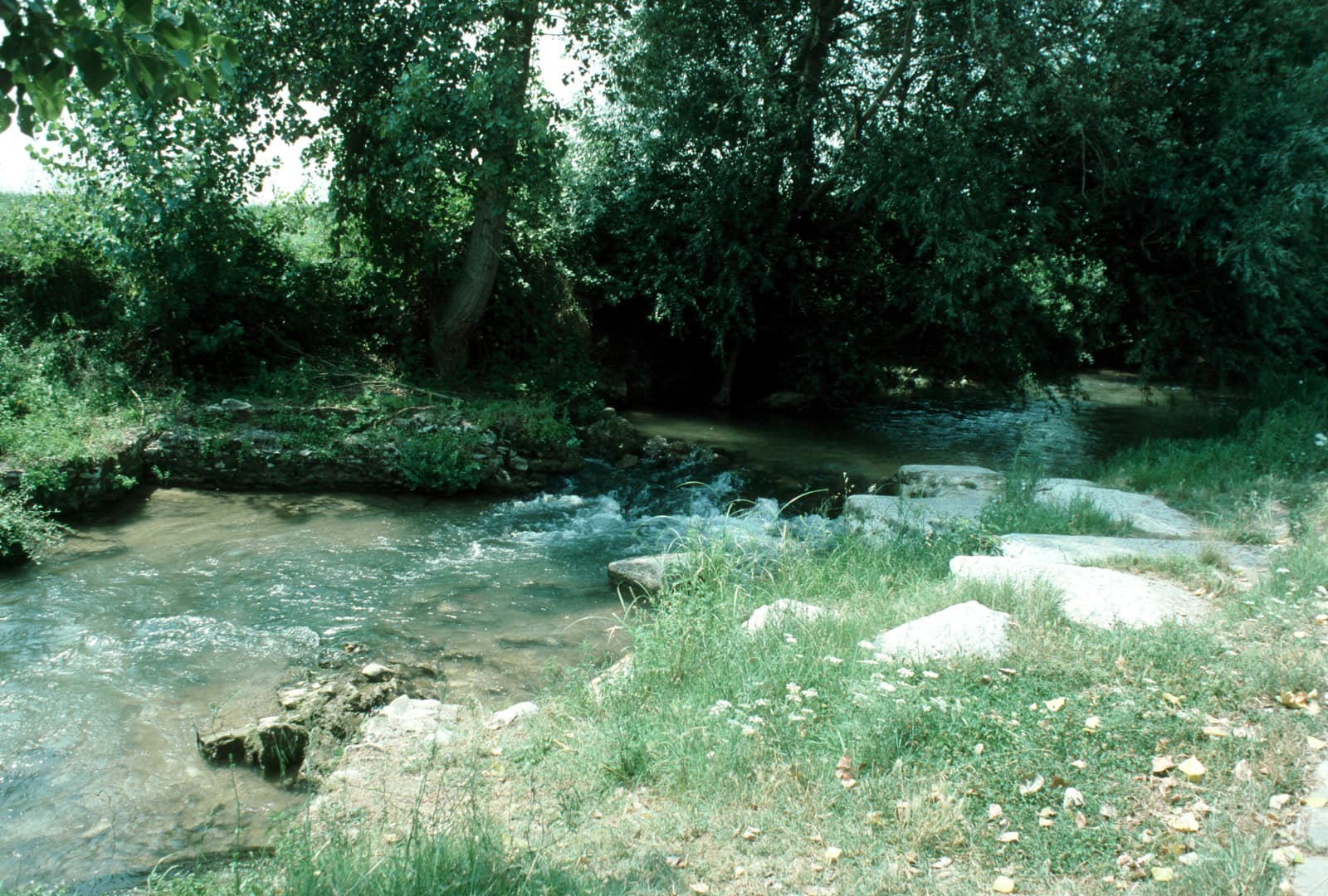 Baptism of Lydia (1)