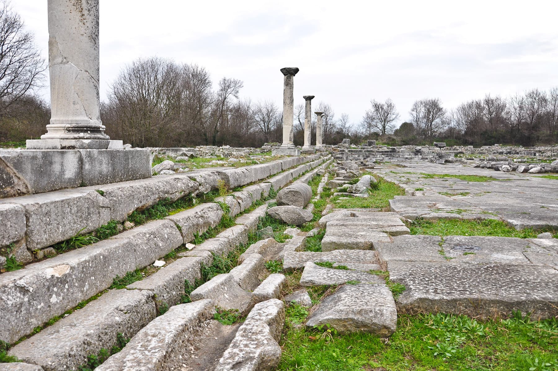 Forum 4