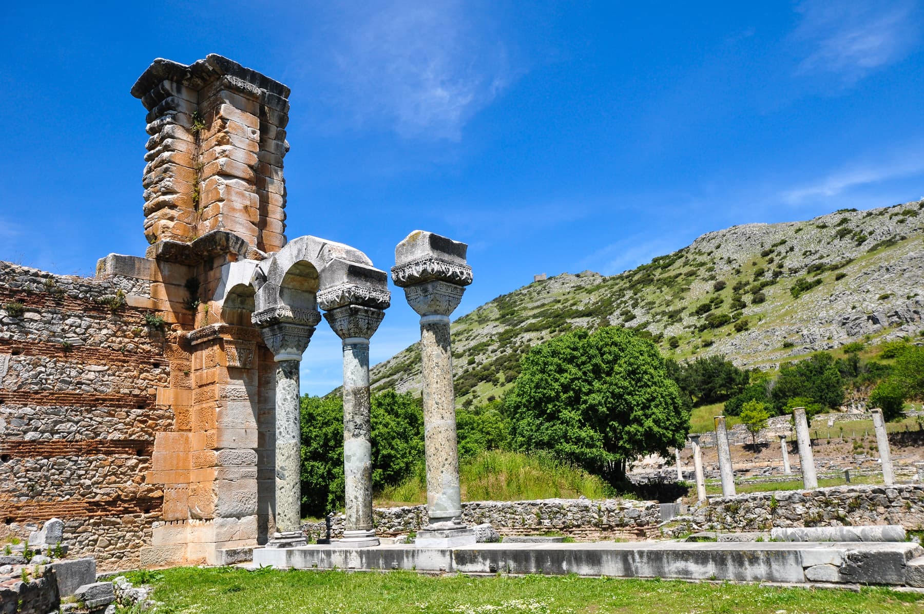 Basilica Columns