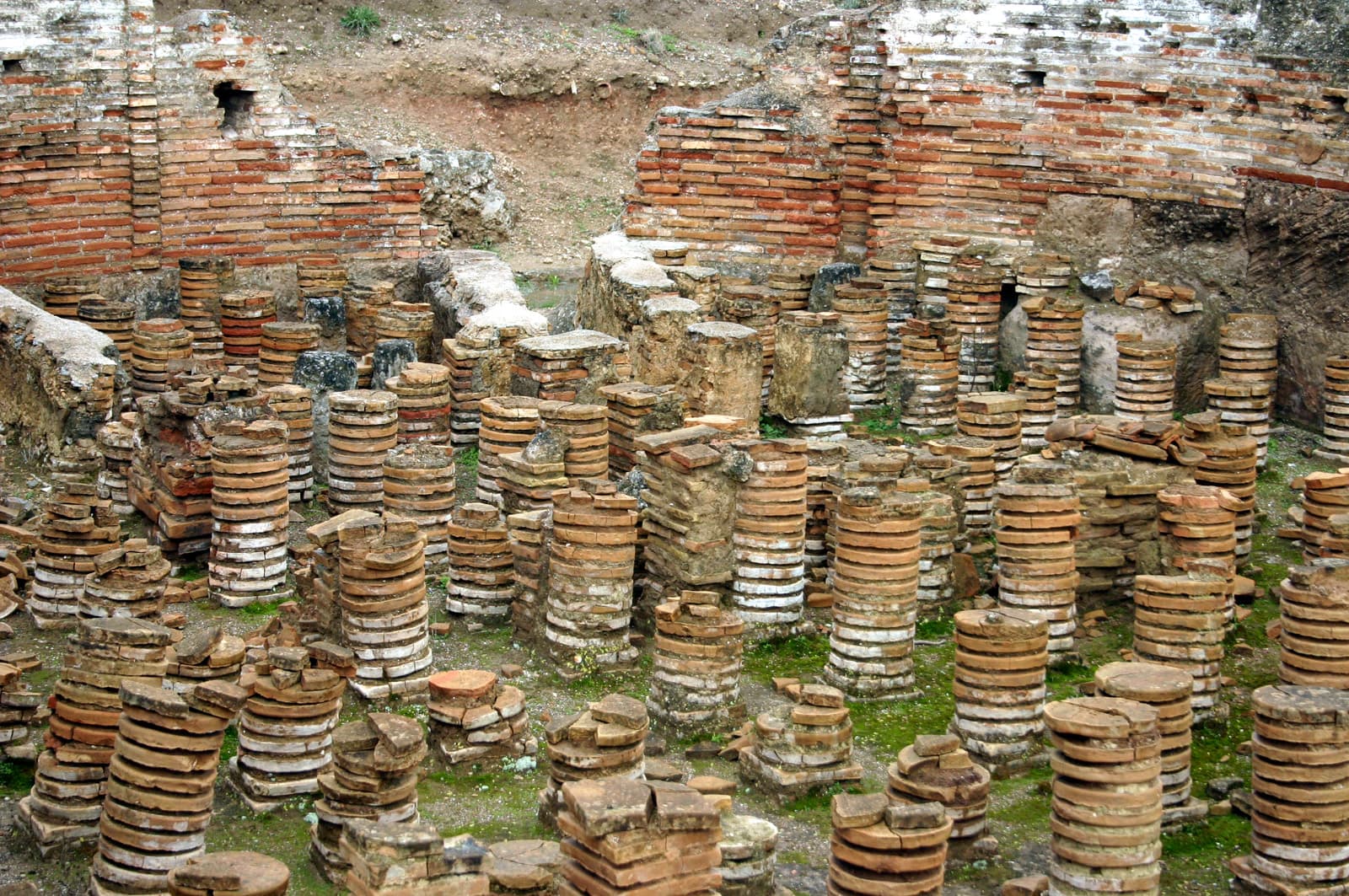Caldarium