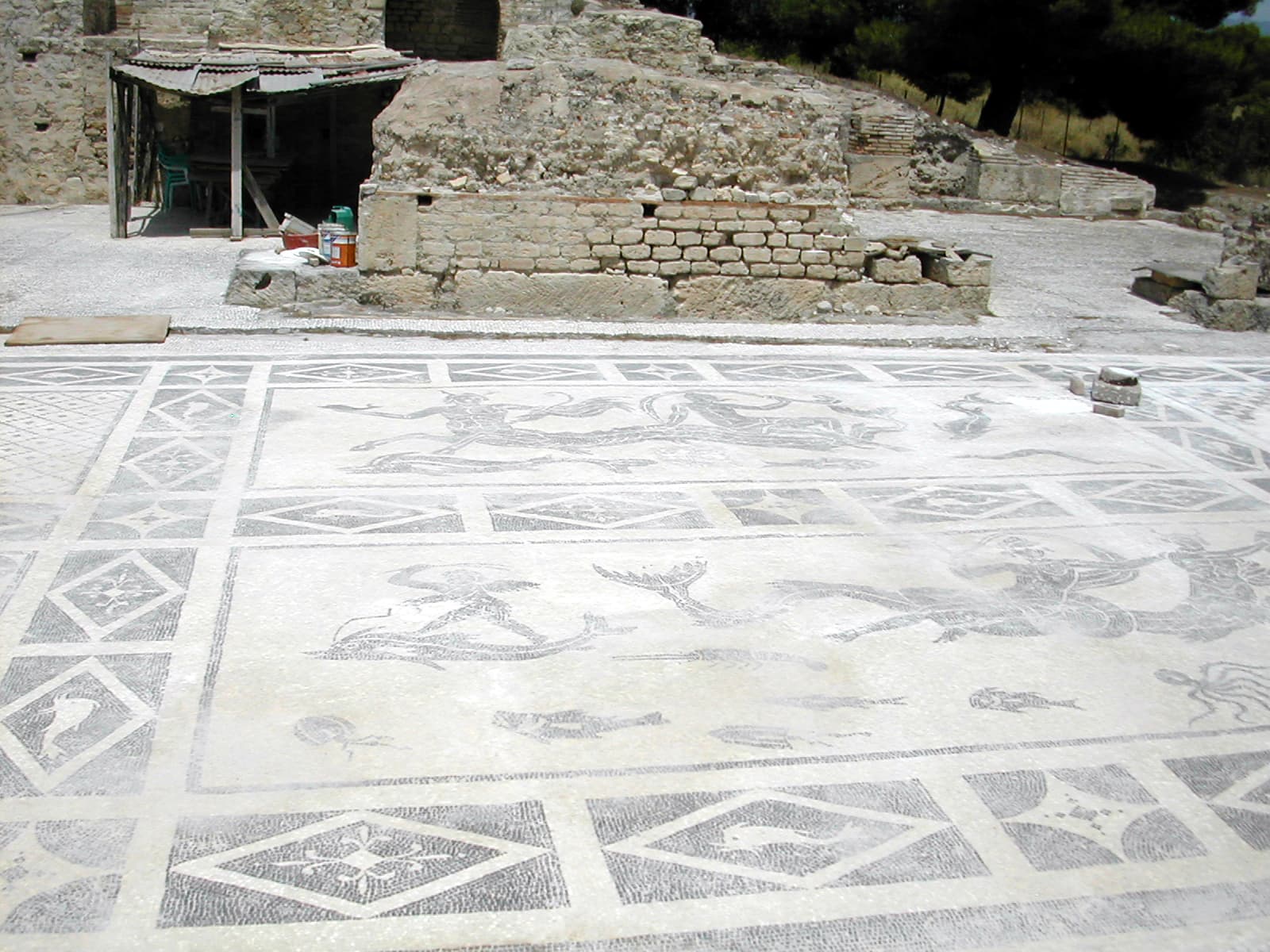 Mosaic
