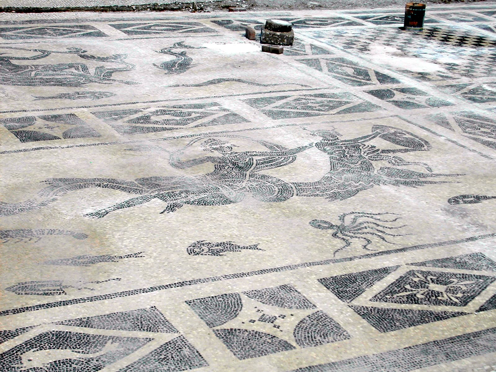 Mosaic Tritons