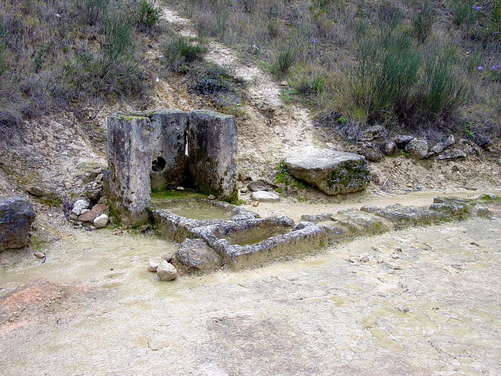Fountain