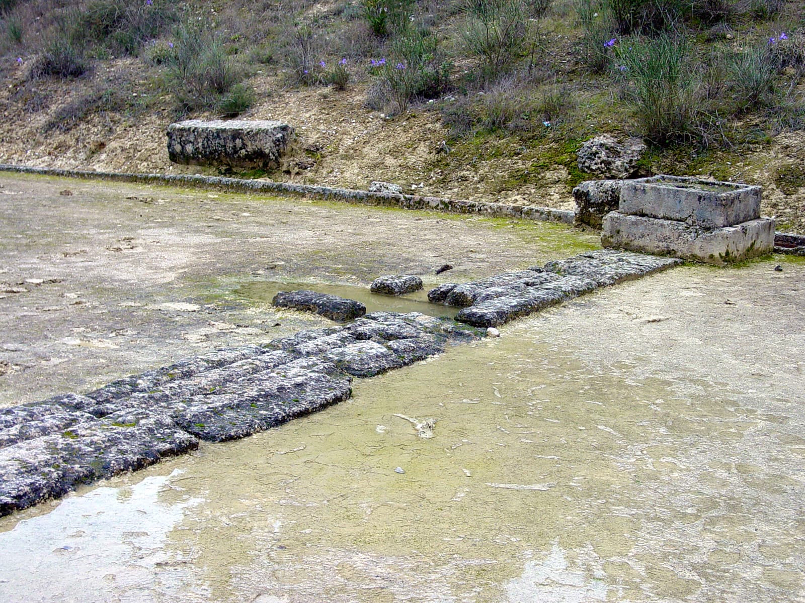 Starting Line (detail)