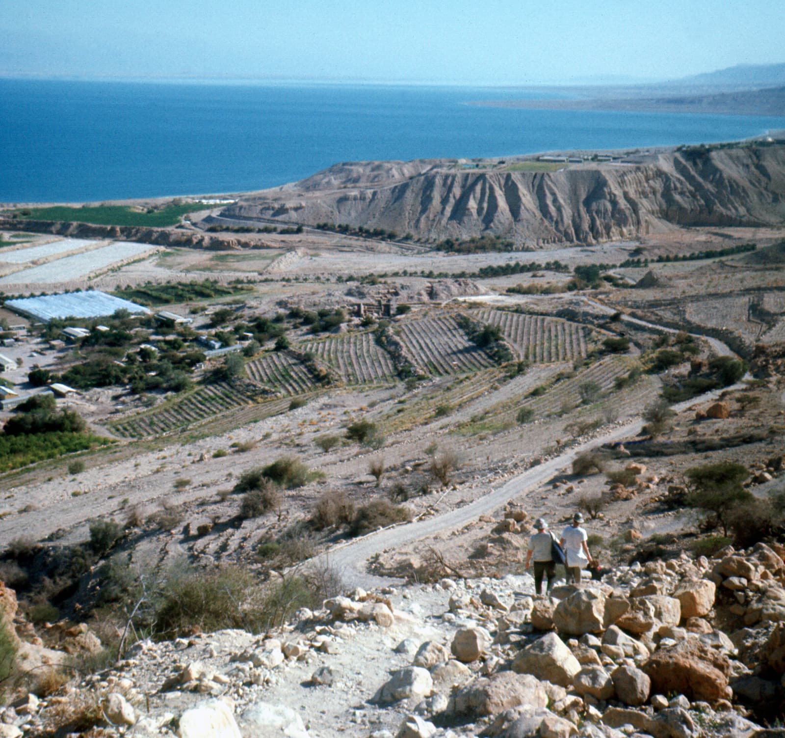 General Area En Gedi