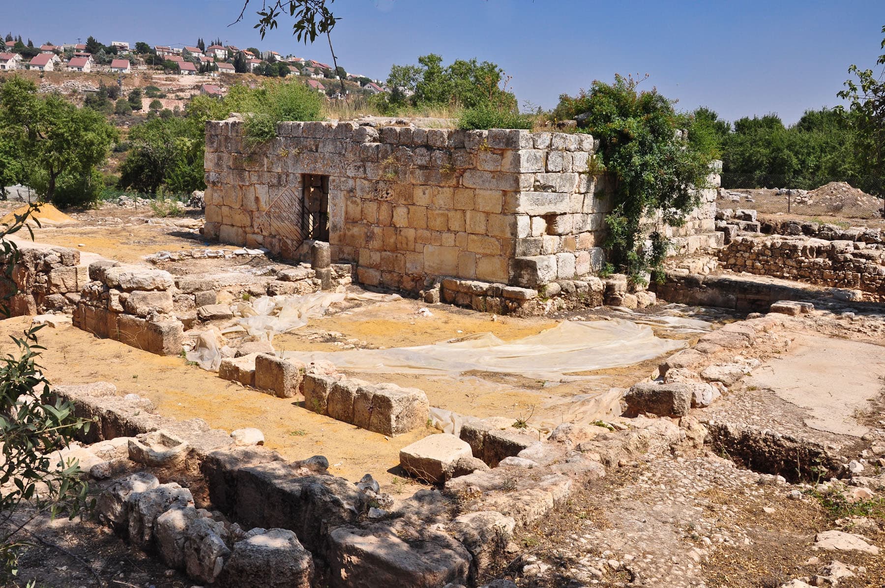 Mosque/Weli