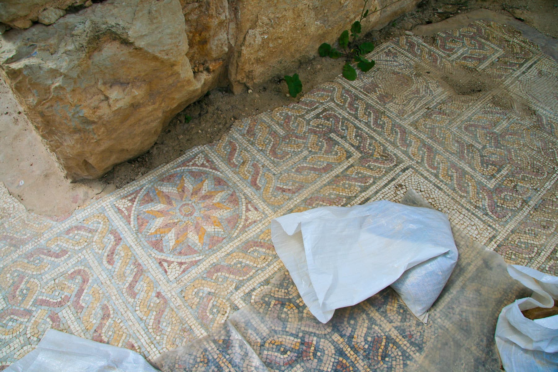 Mosaic 4