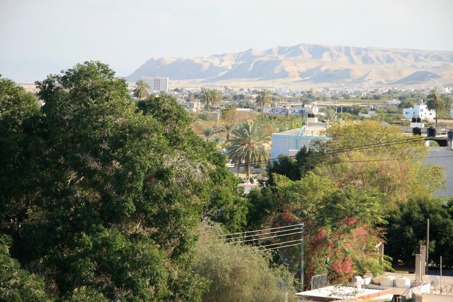 View South