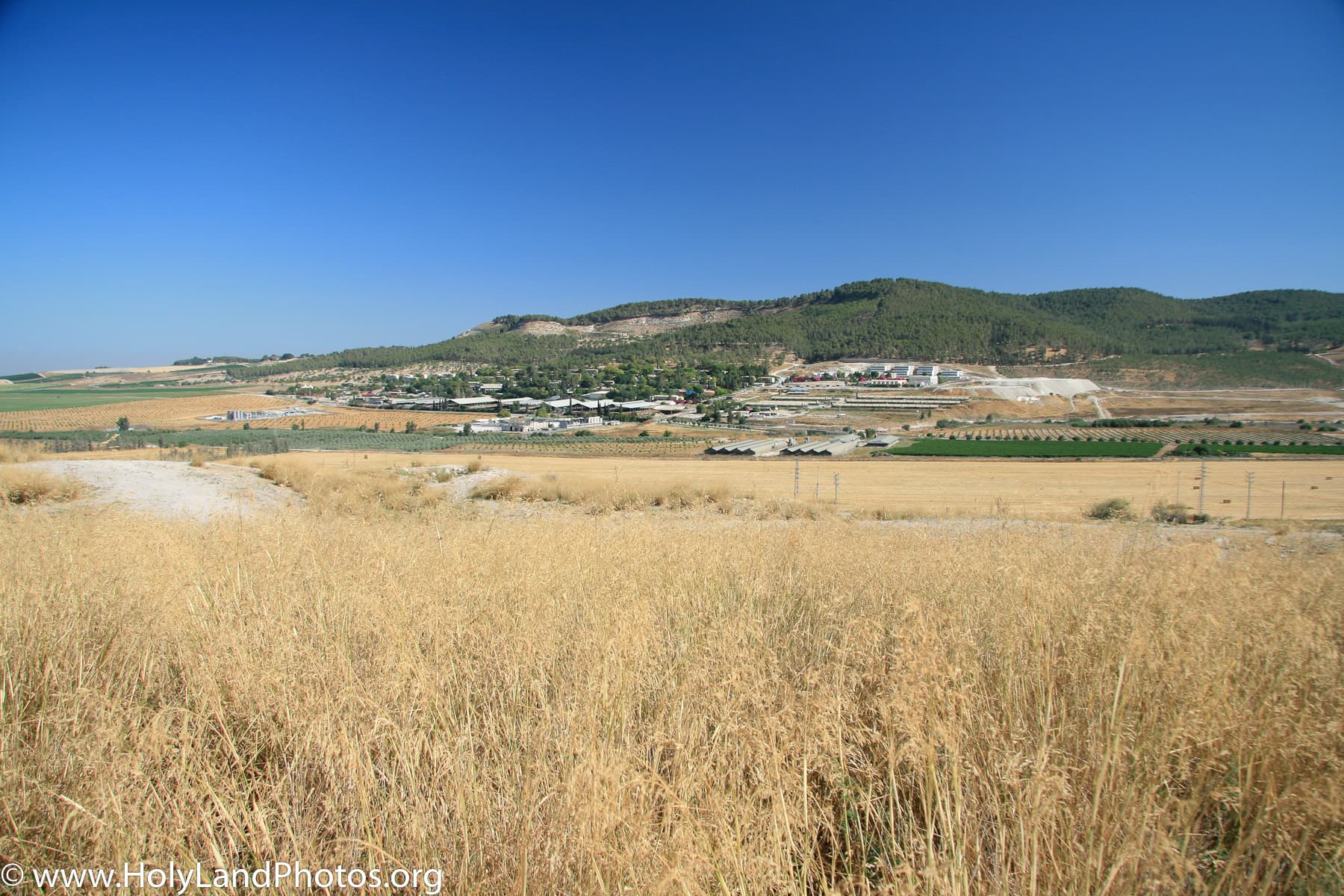 Sorek Valley 2