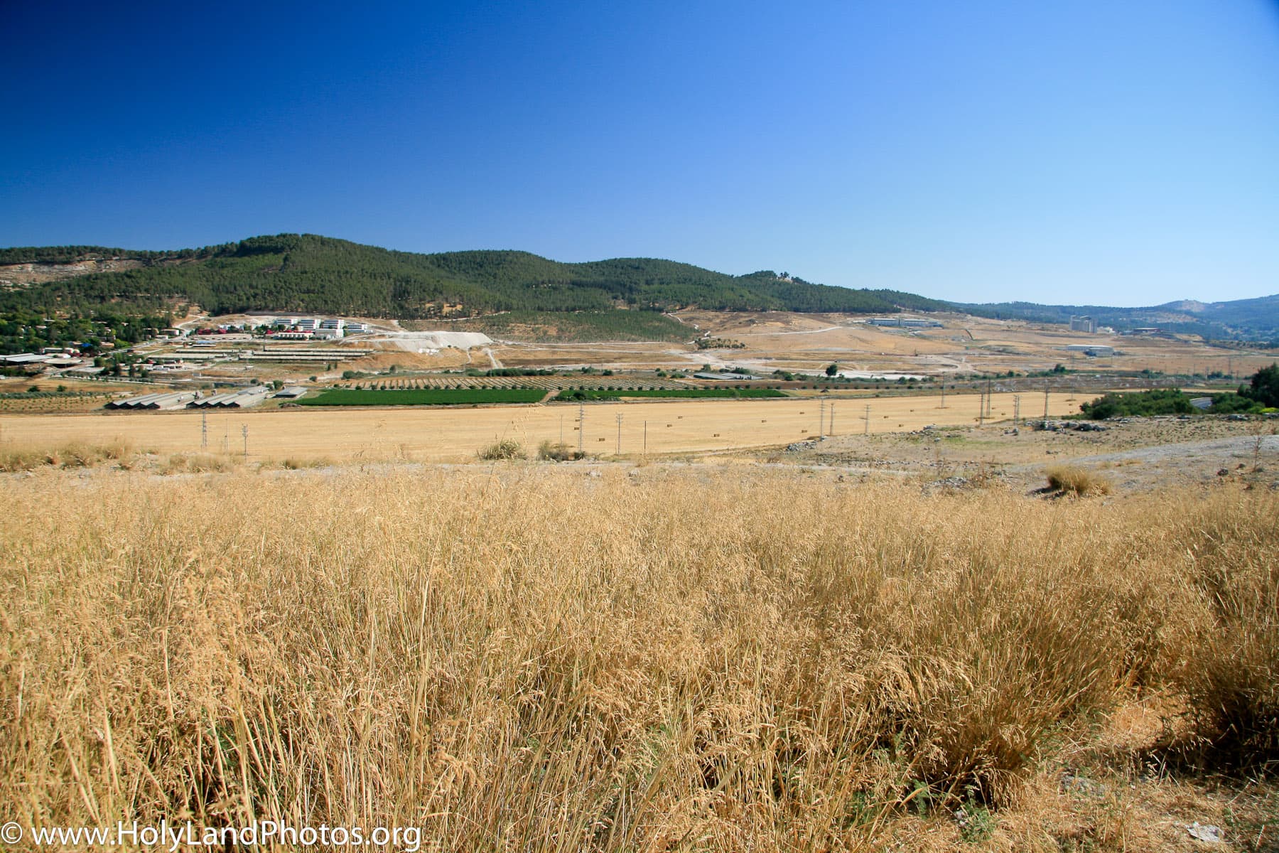 Zorah Ridge