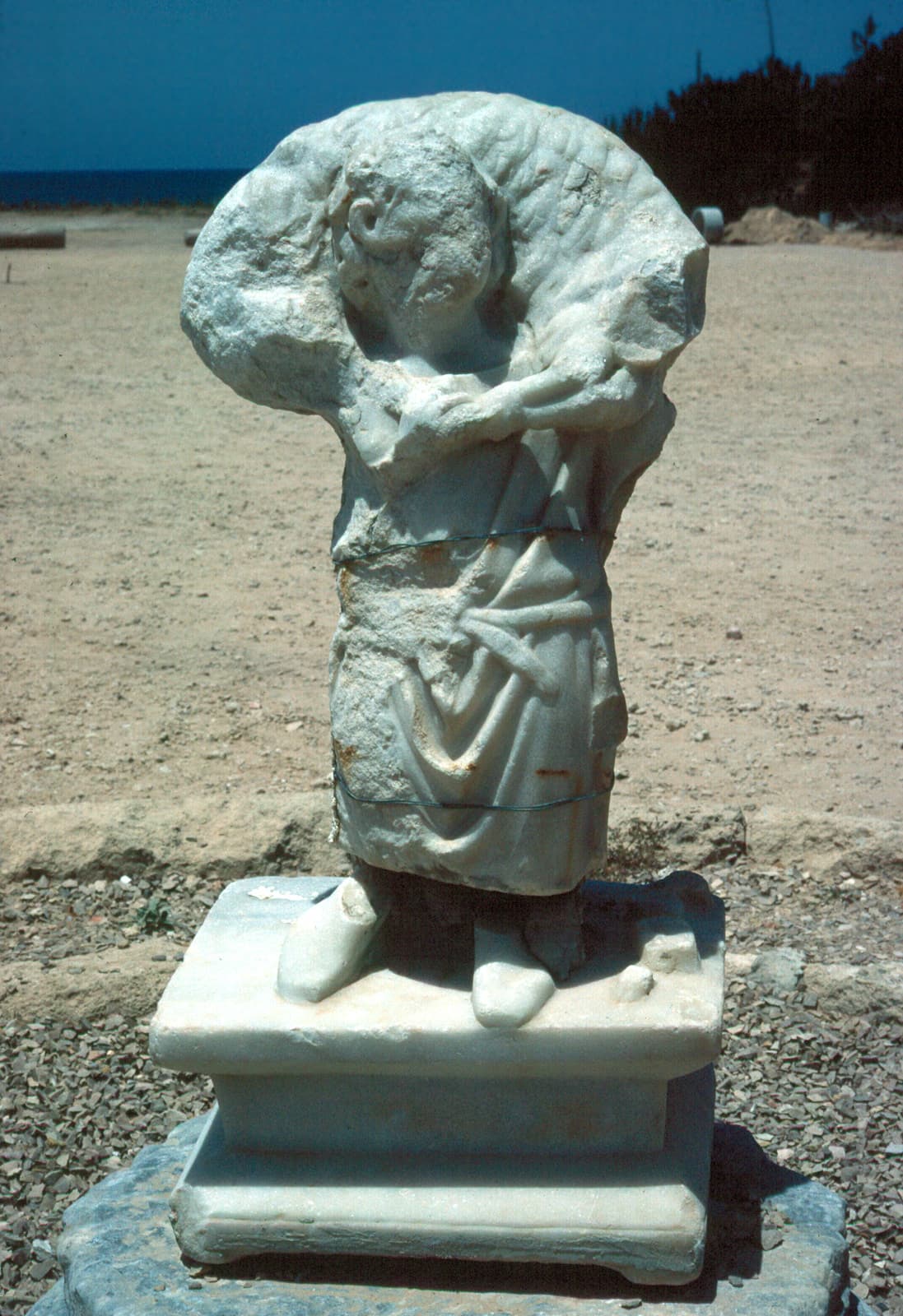 Good Shepherd