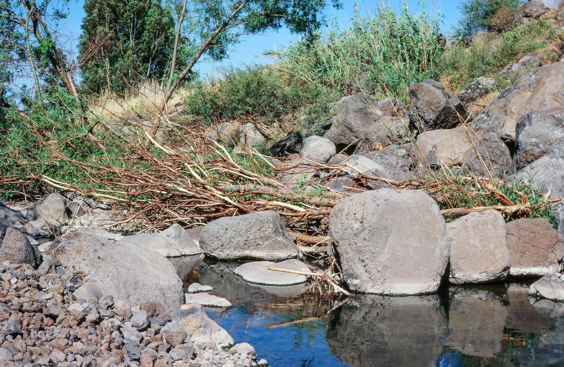 Stream