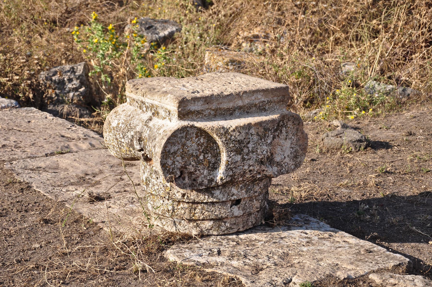 Capital