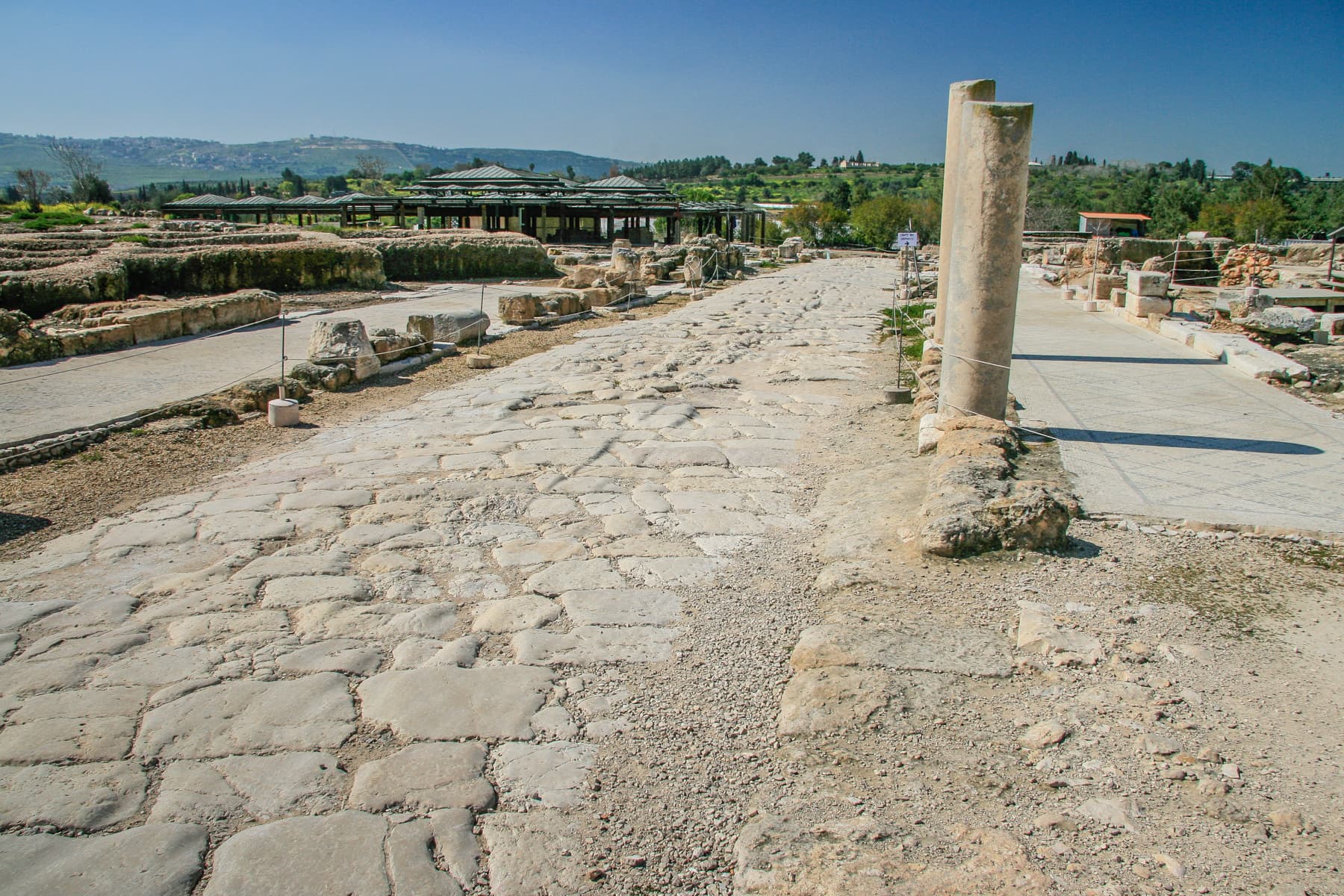 Map or image for Sepphoris Lower Eastern City