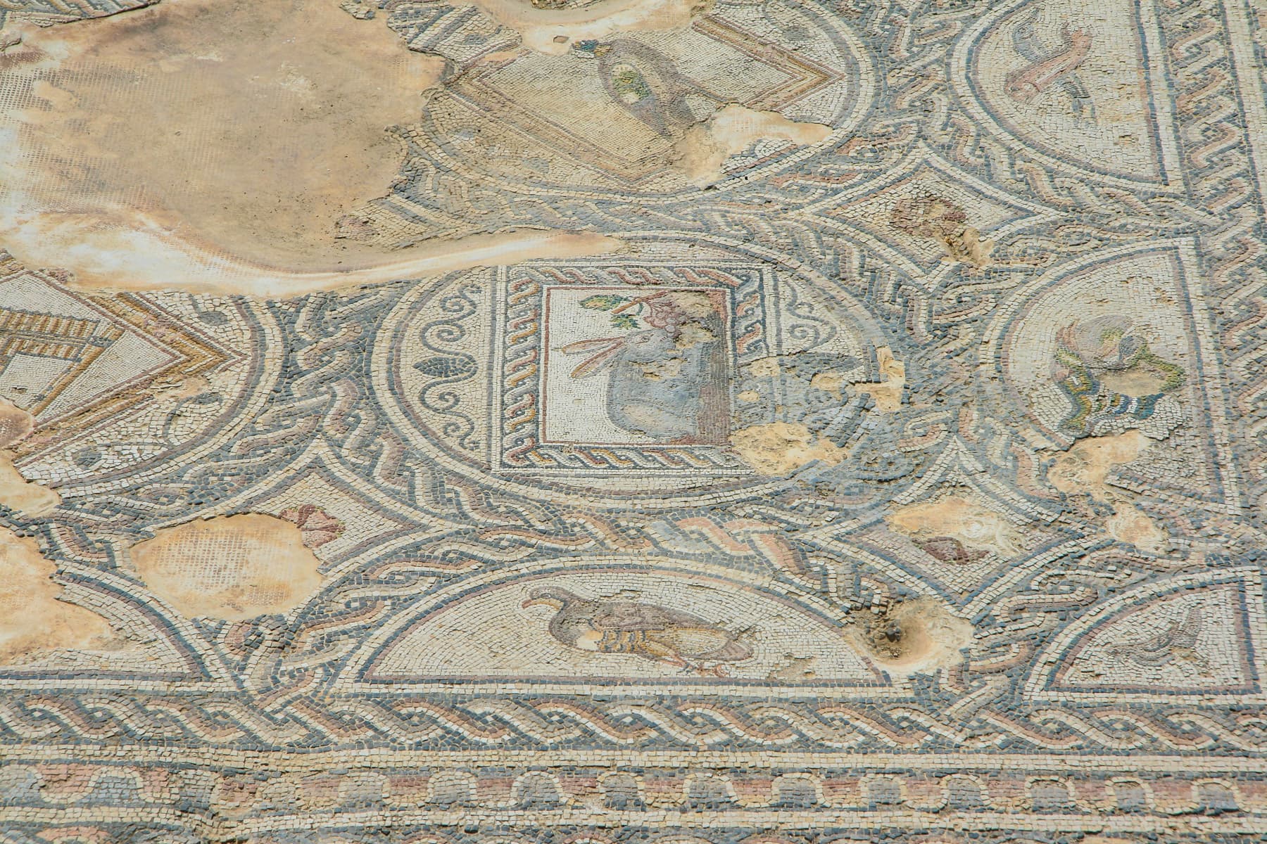 Building Mosaic 4