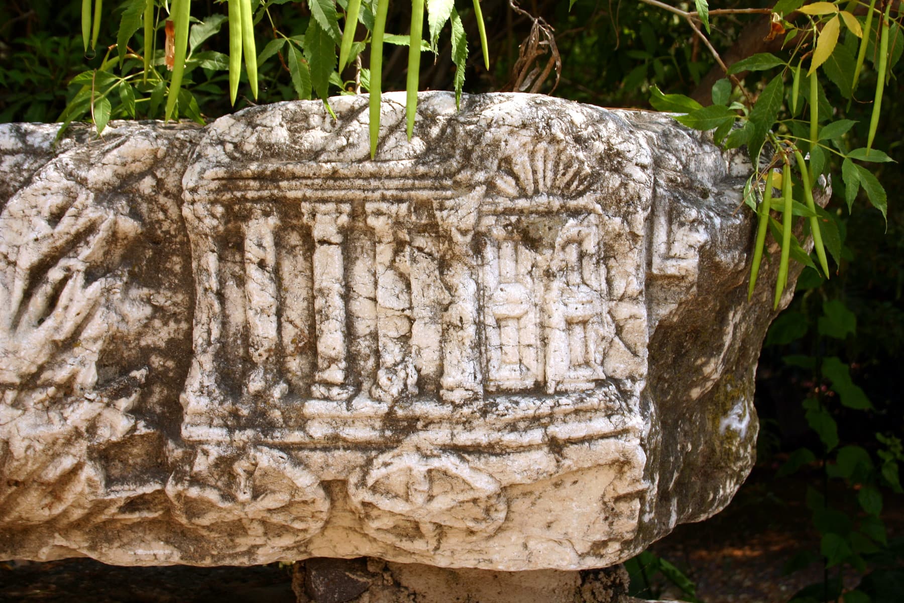 Roman Cart