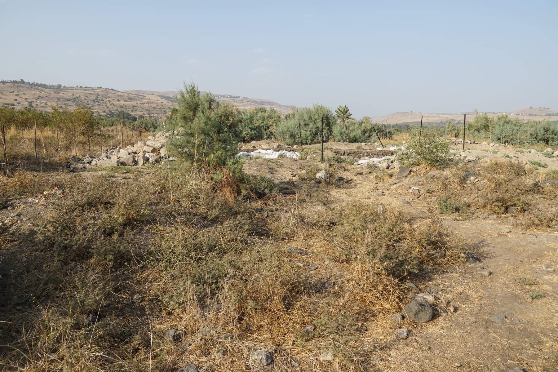 Area C Overview