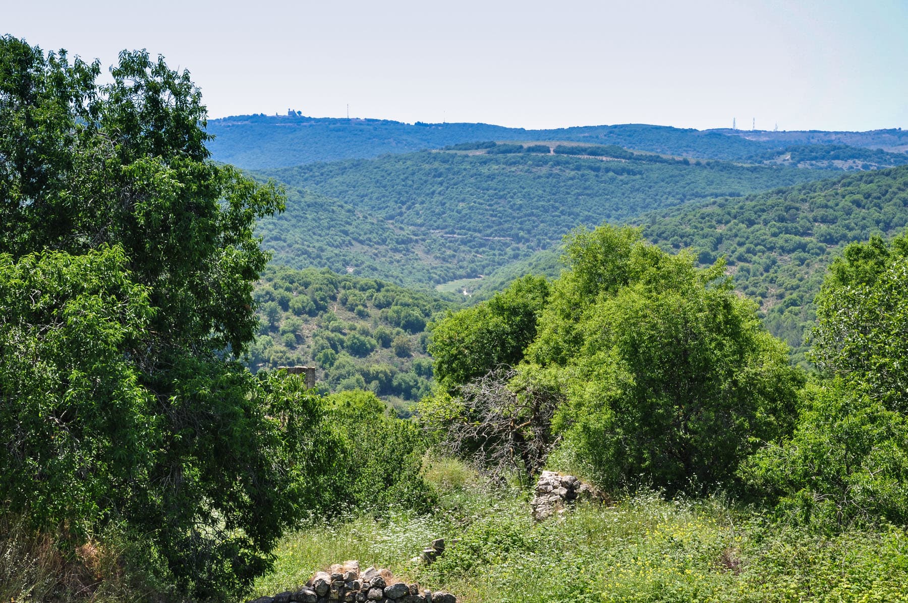 Upper Galilee