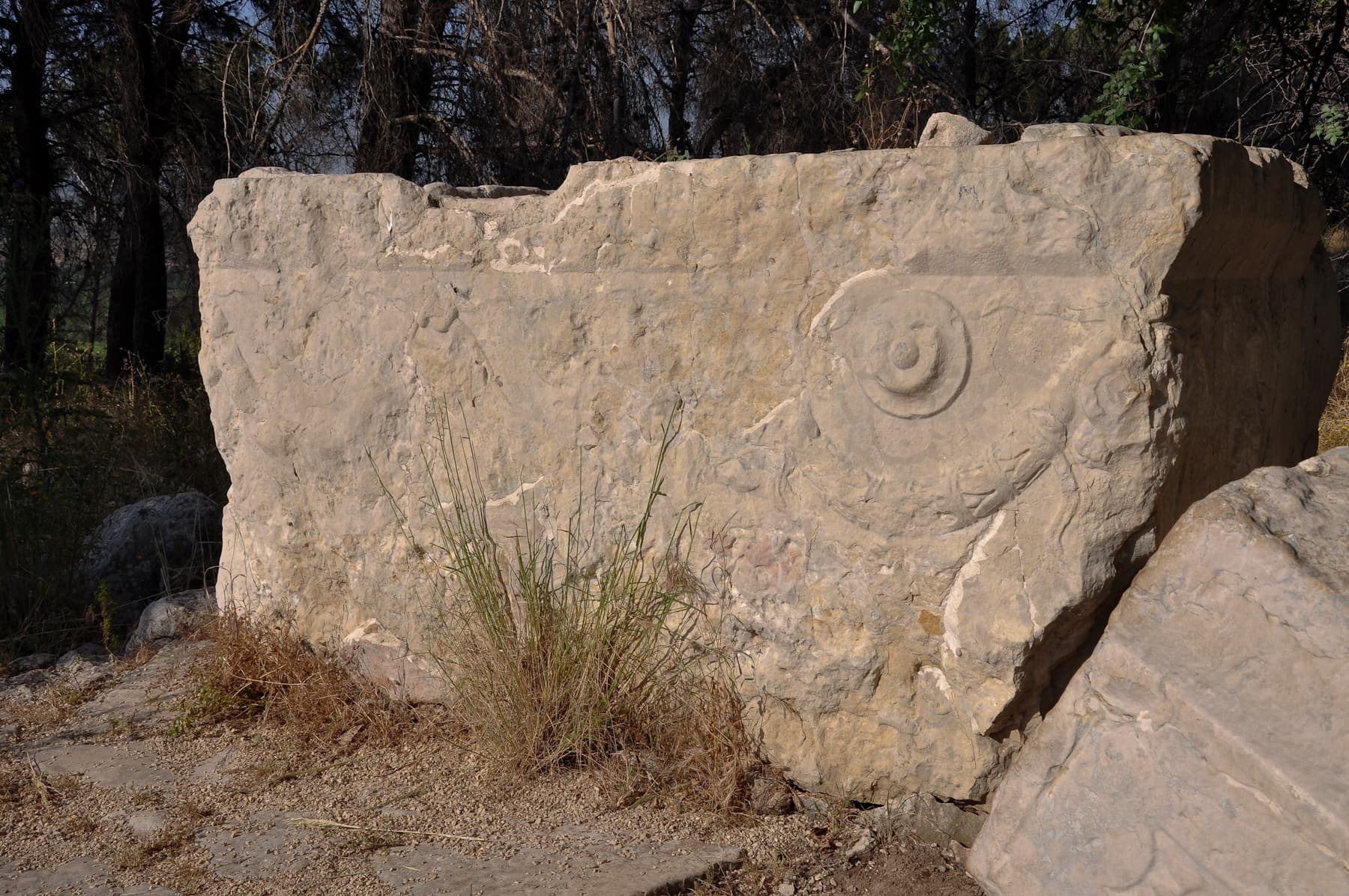 Sarcophagus