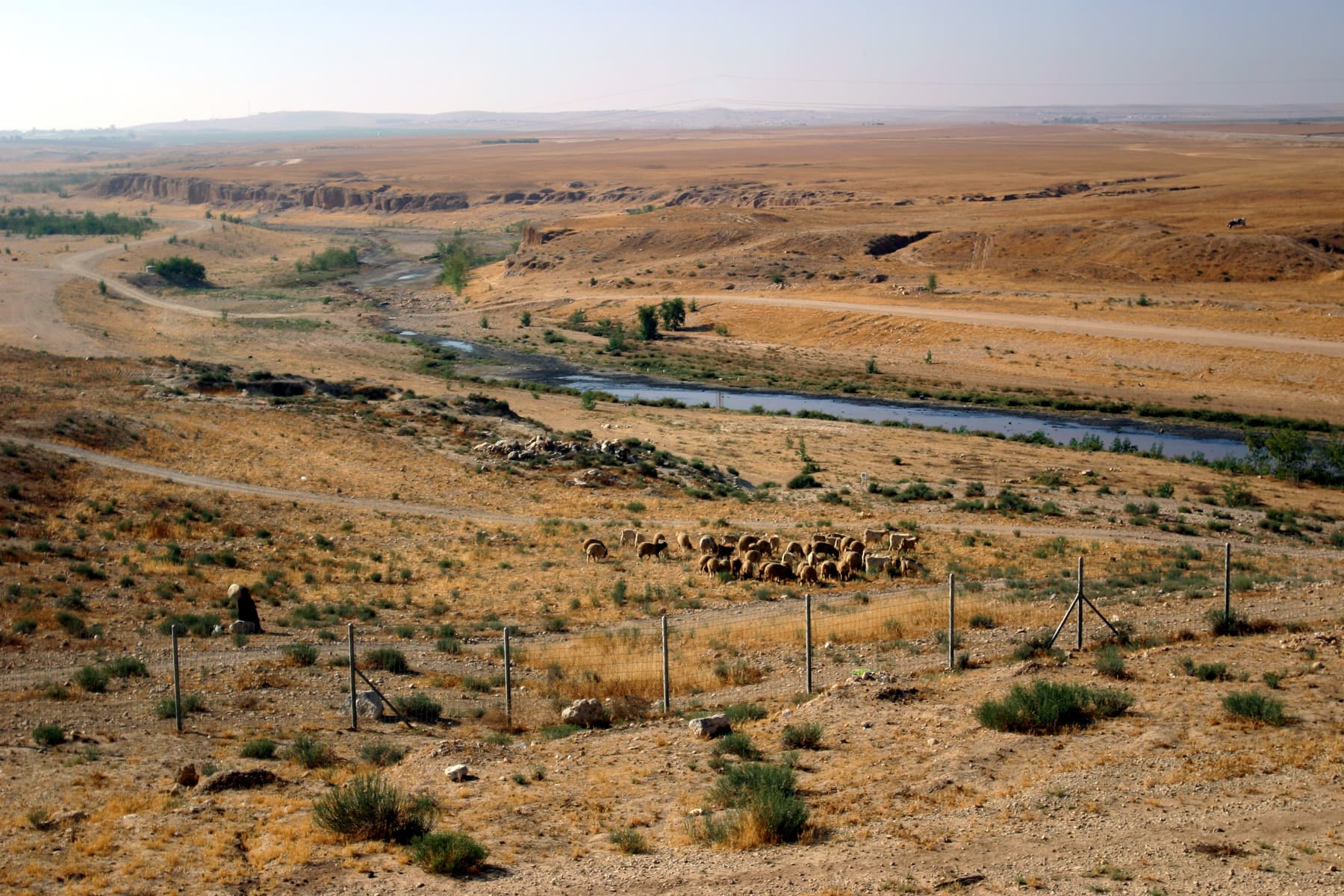 Loess Soil
