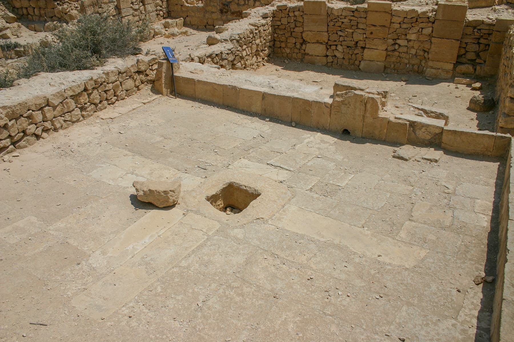 Grape Press Stomping Area