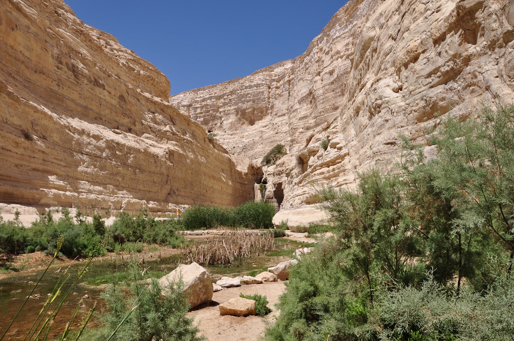 Lower Pools 1