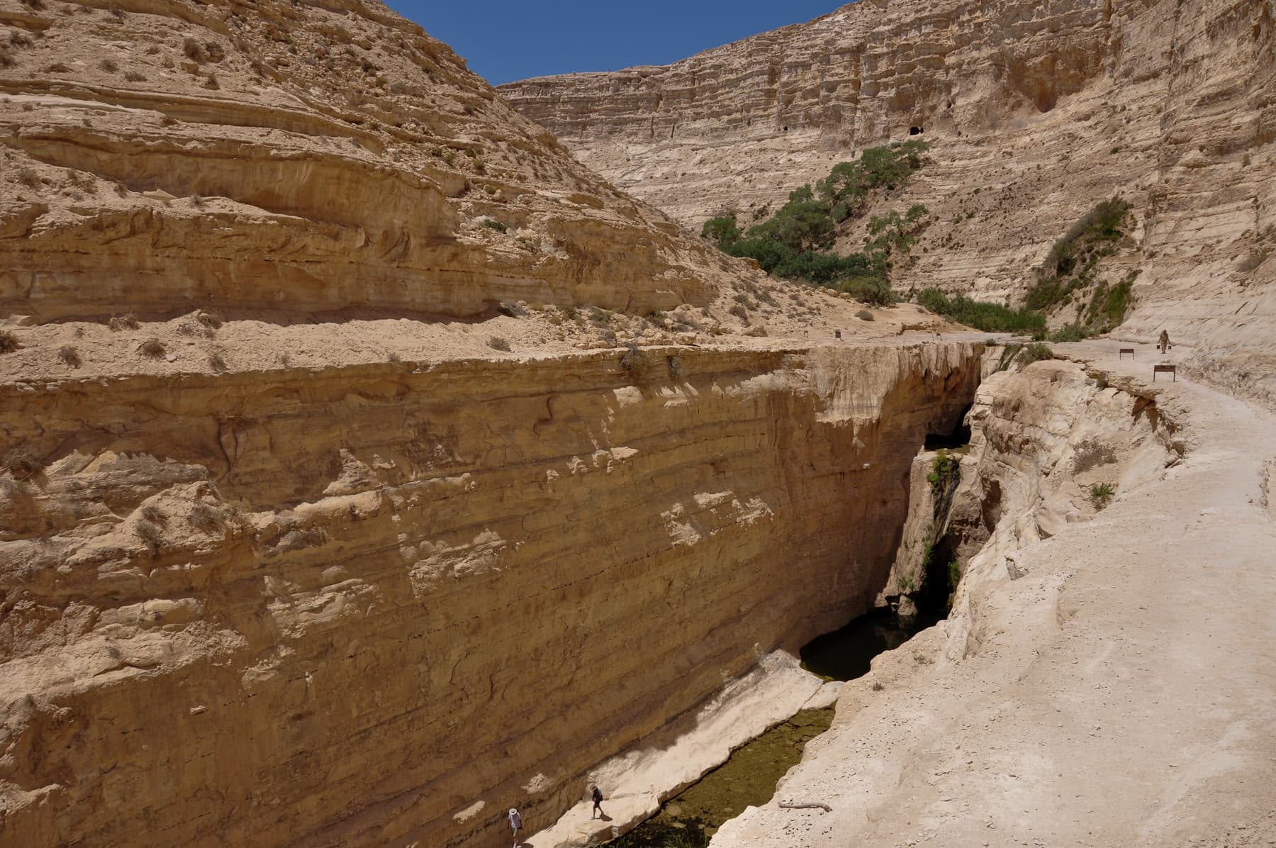 Lower Waterfall from Above