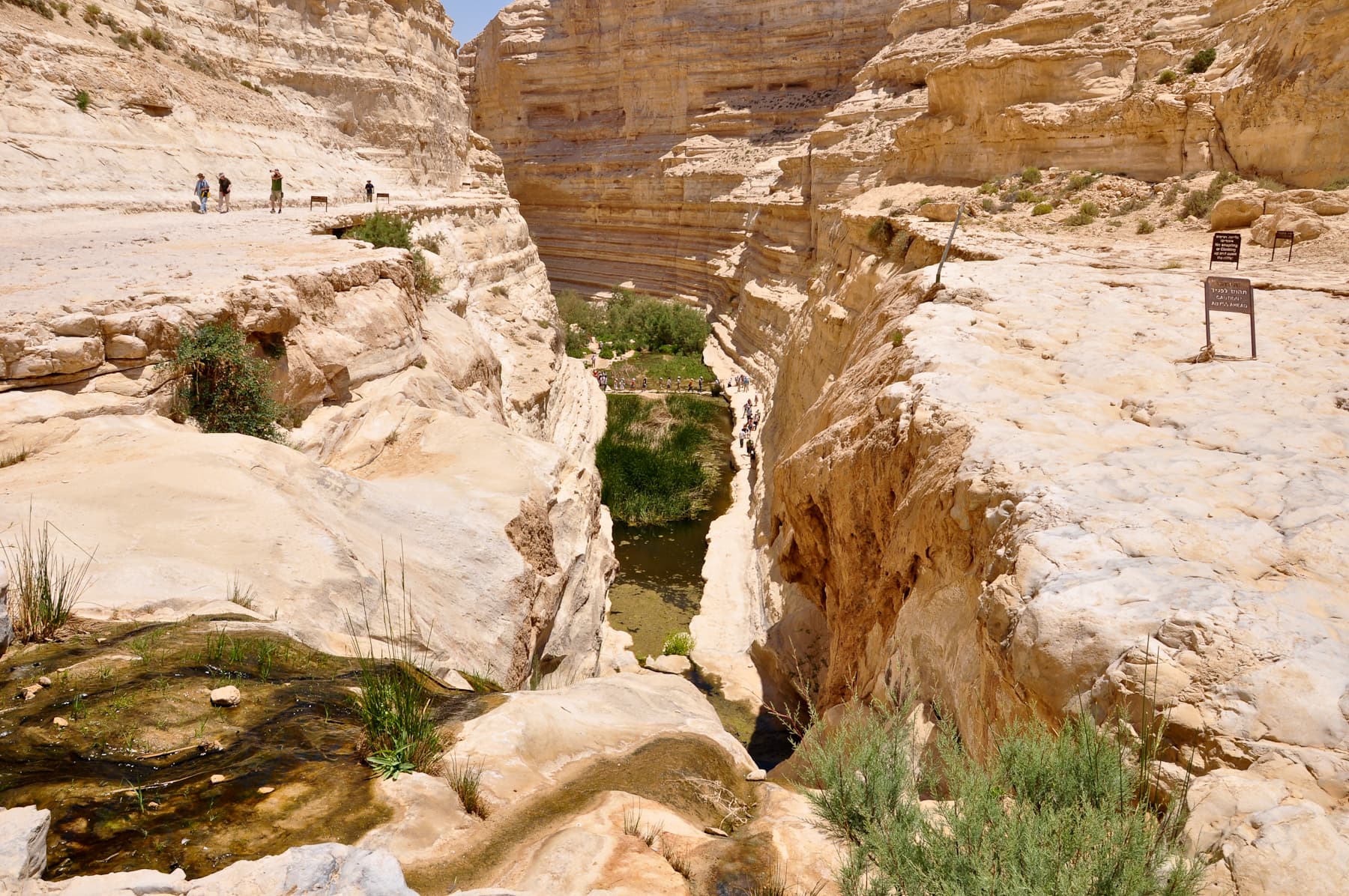 En Avedat Canyon 2