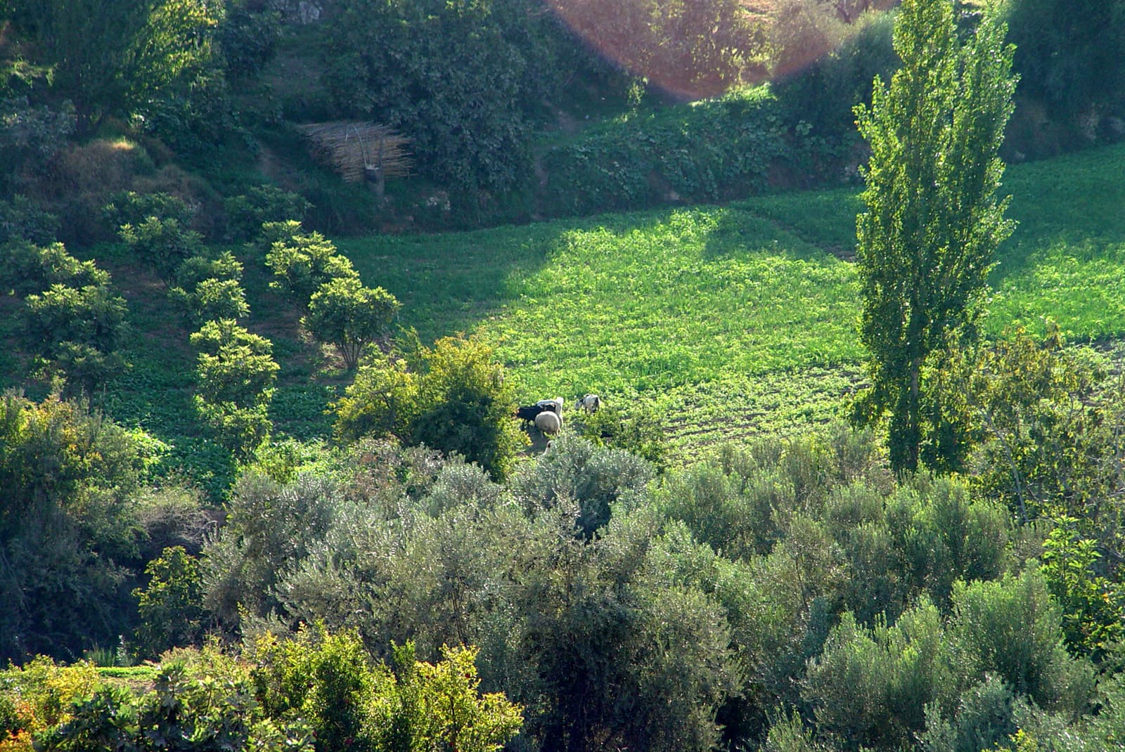 Wadi es-Sir 3