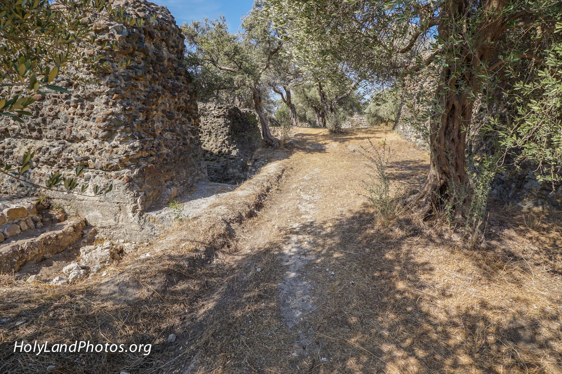 The Entrance to the Temple