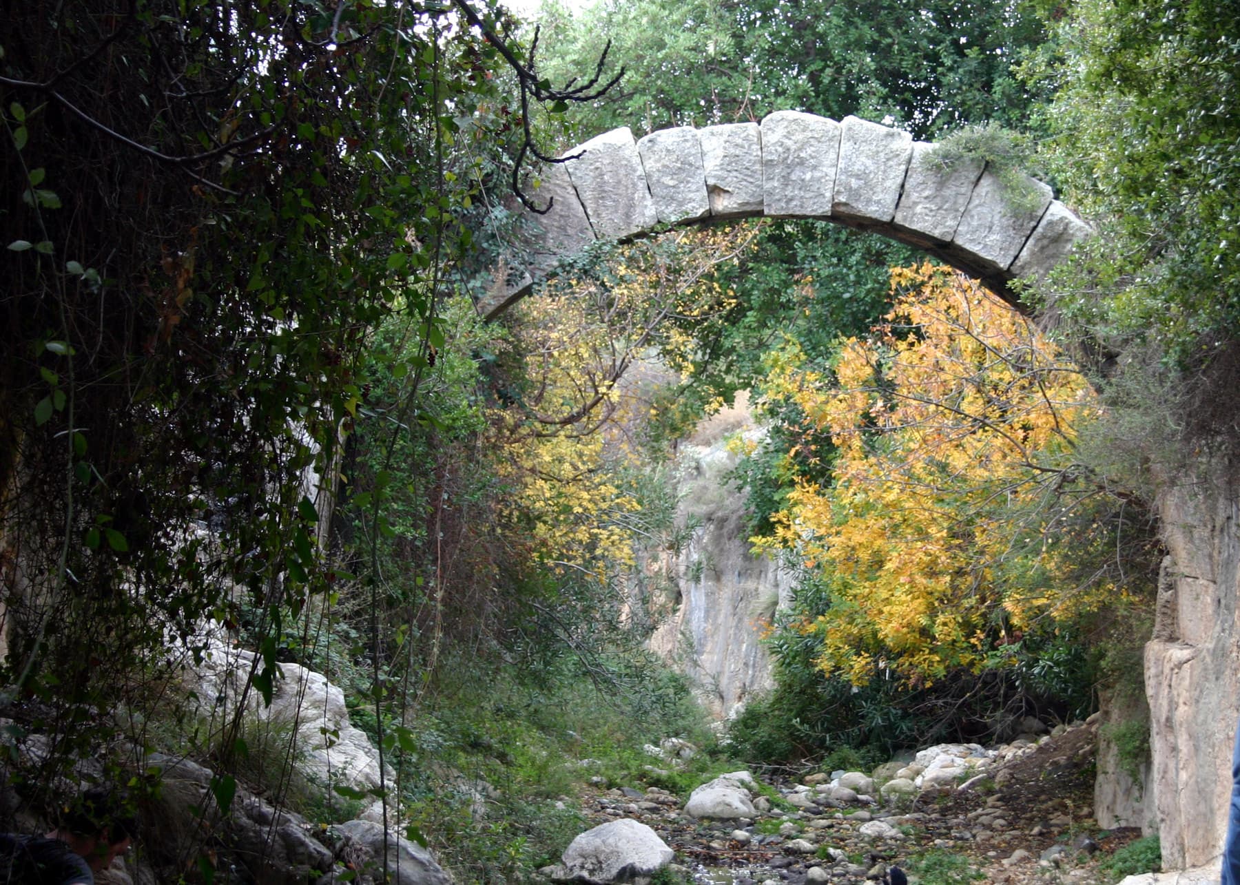 Tunnel and Bridge