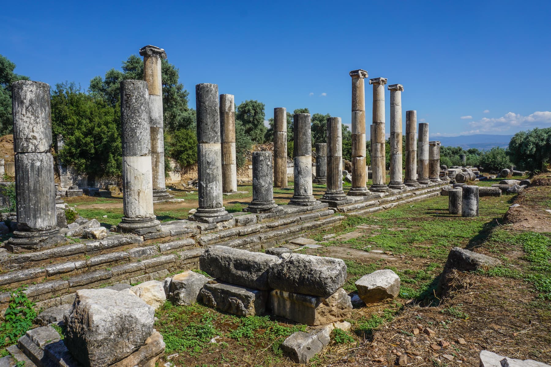 Agora