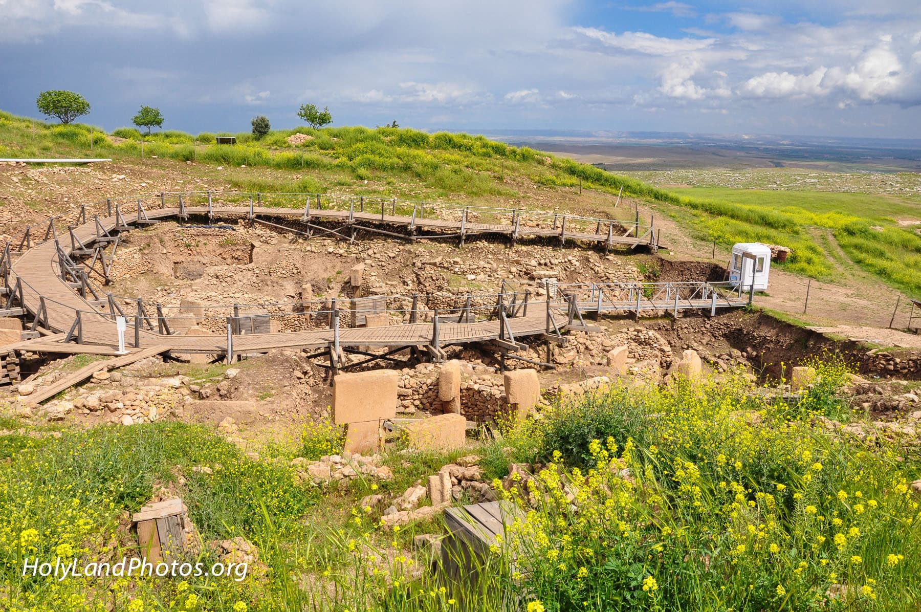 Excavated Area