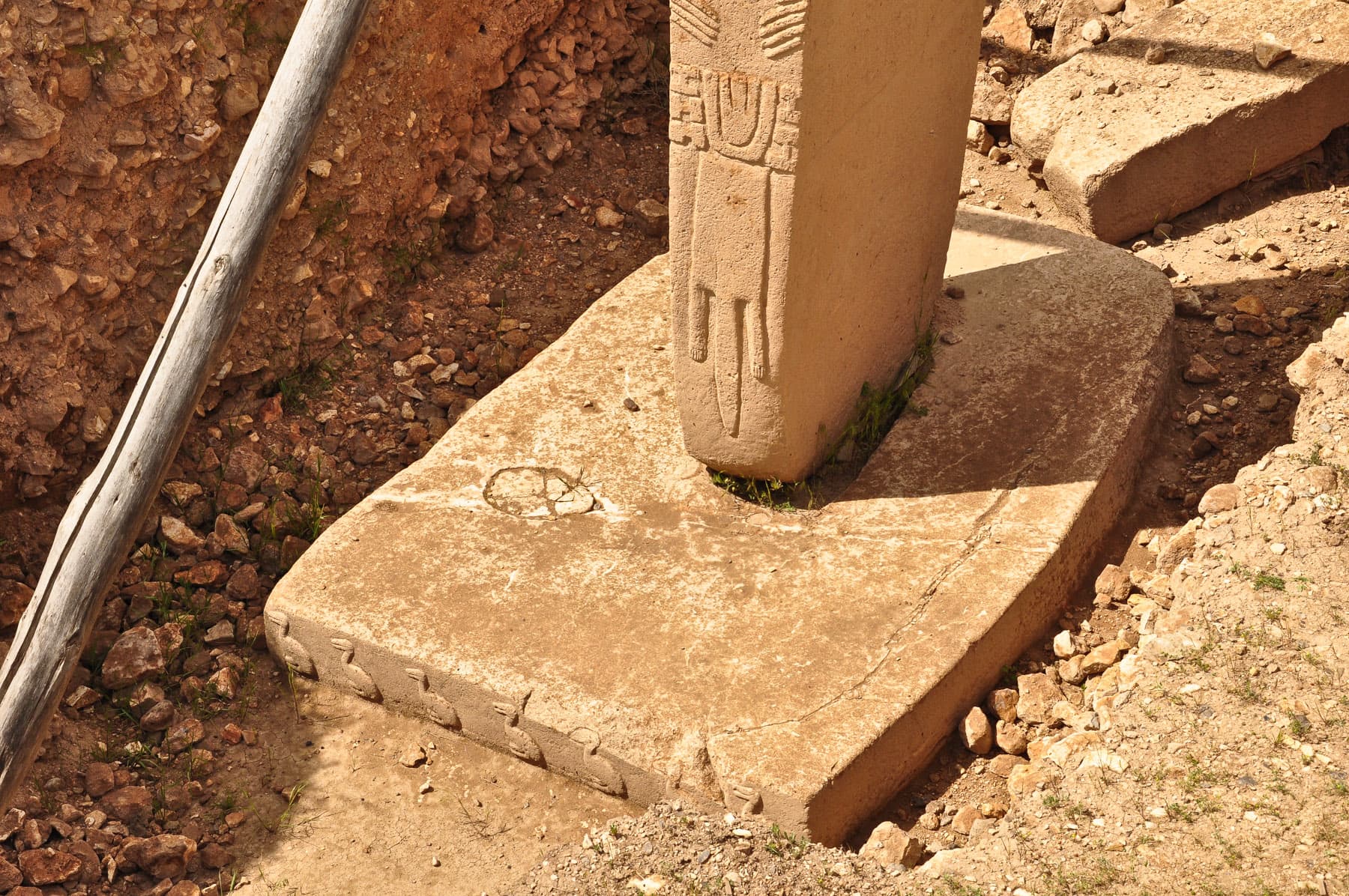 D Pillar 18b