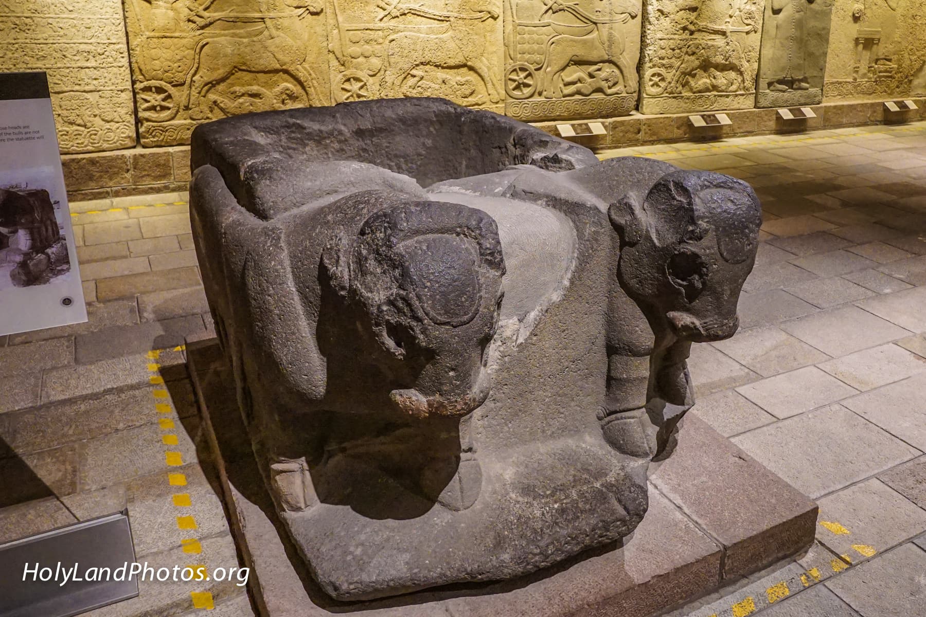 Basalt Bulls Pedestal