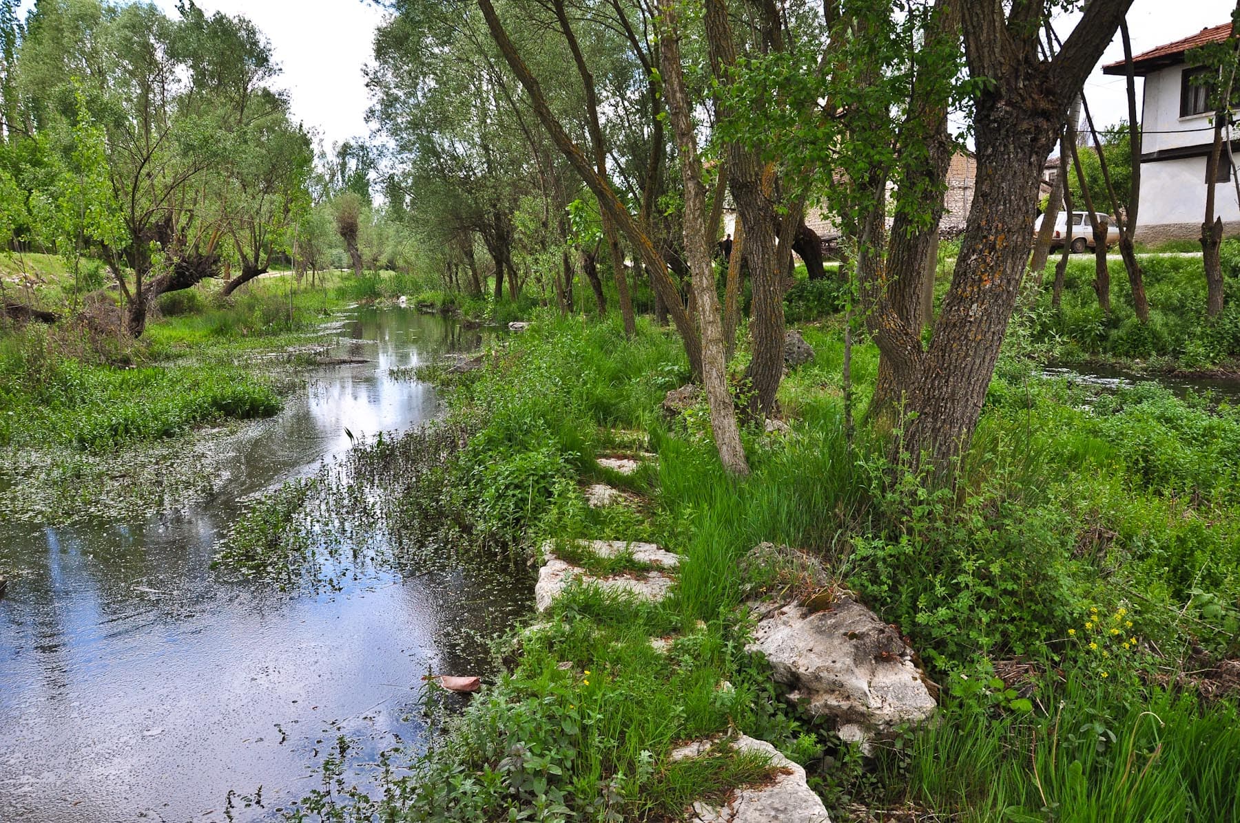 Penkalas River