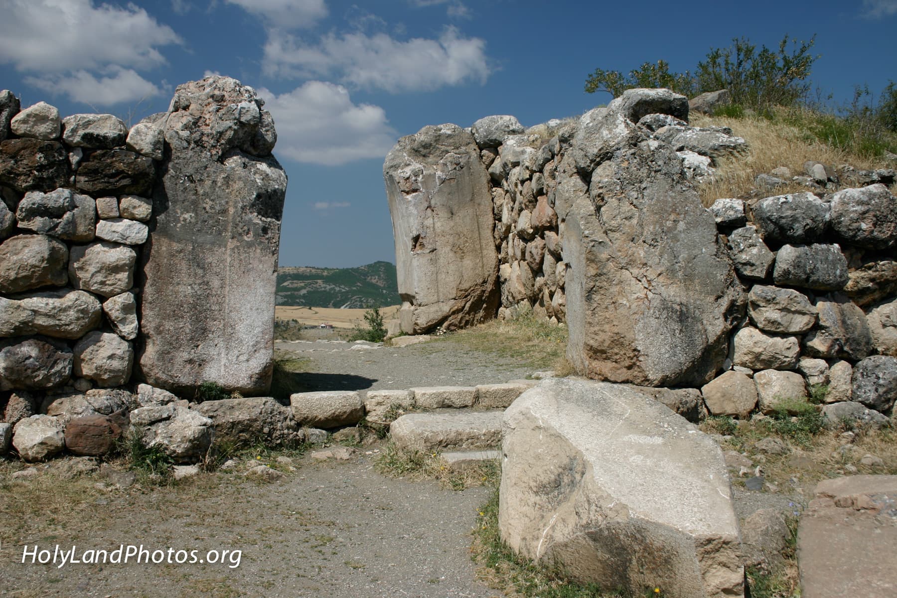 Lion Gate Interior