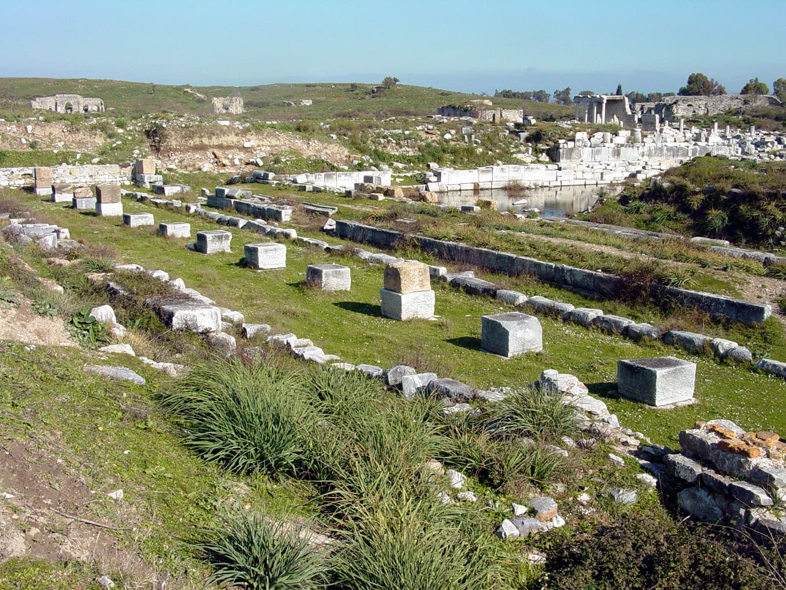 Southern Agora (1)