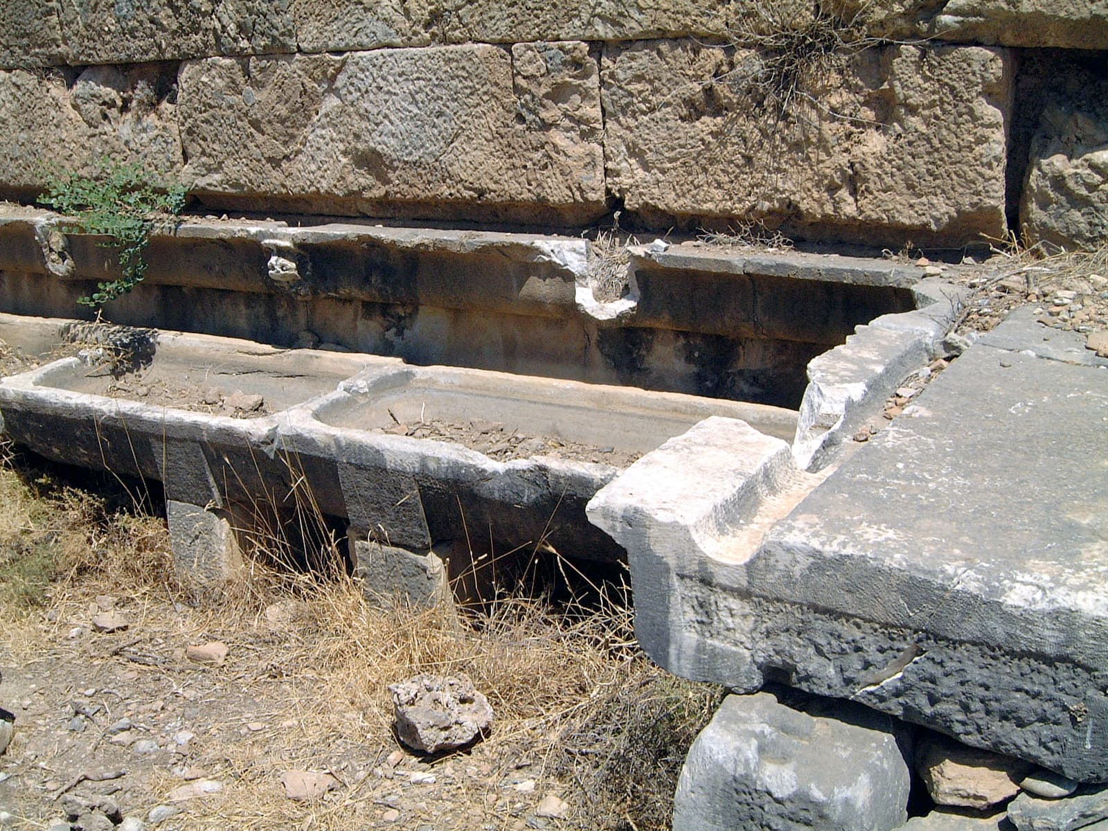 Water Basin