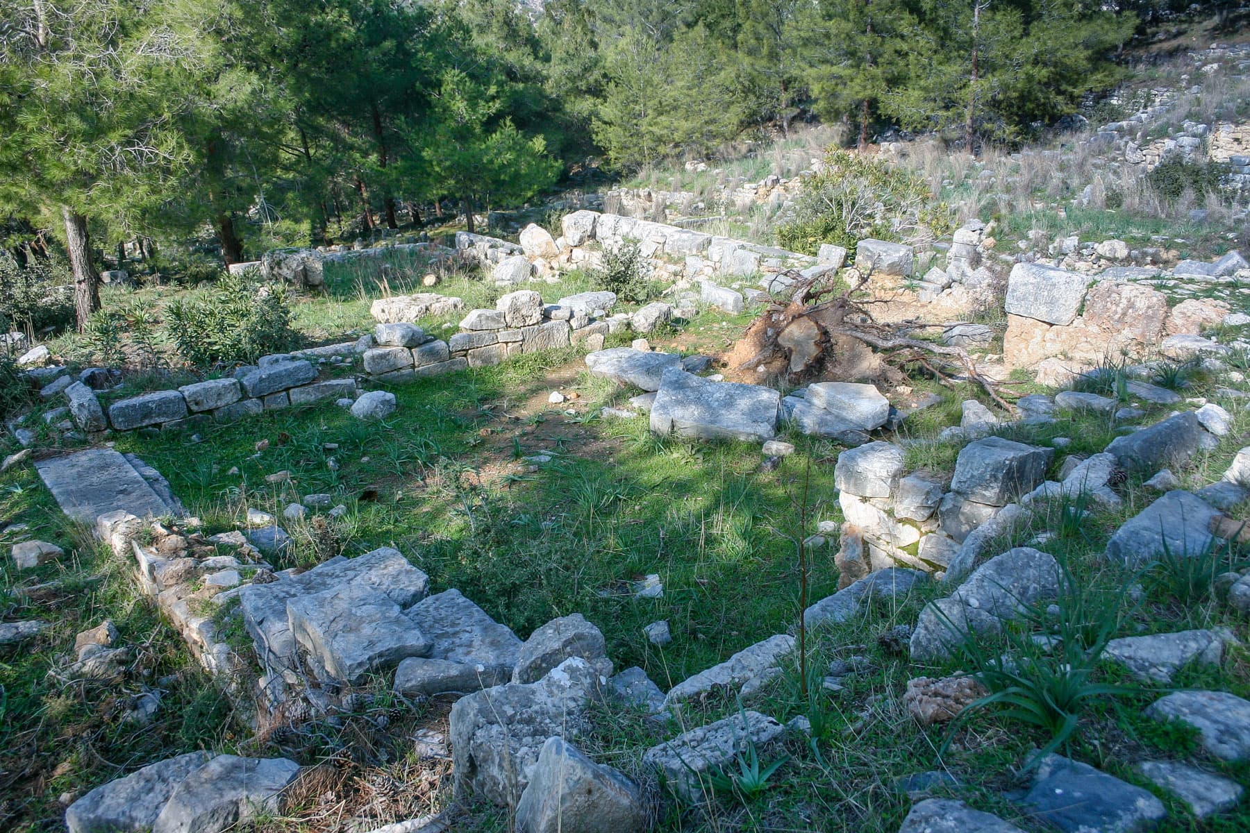 House of Alexander the Great 1