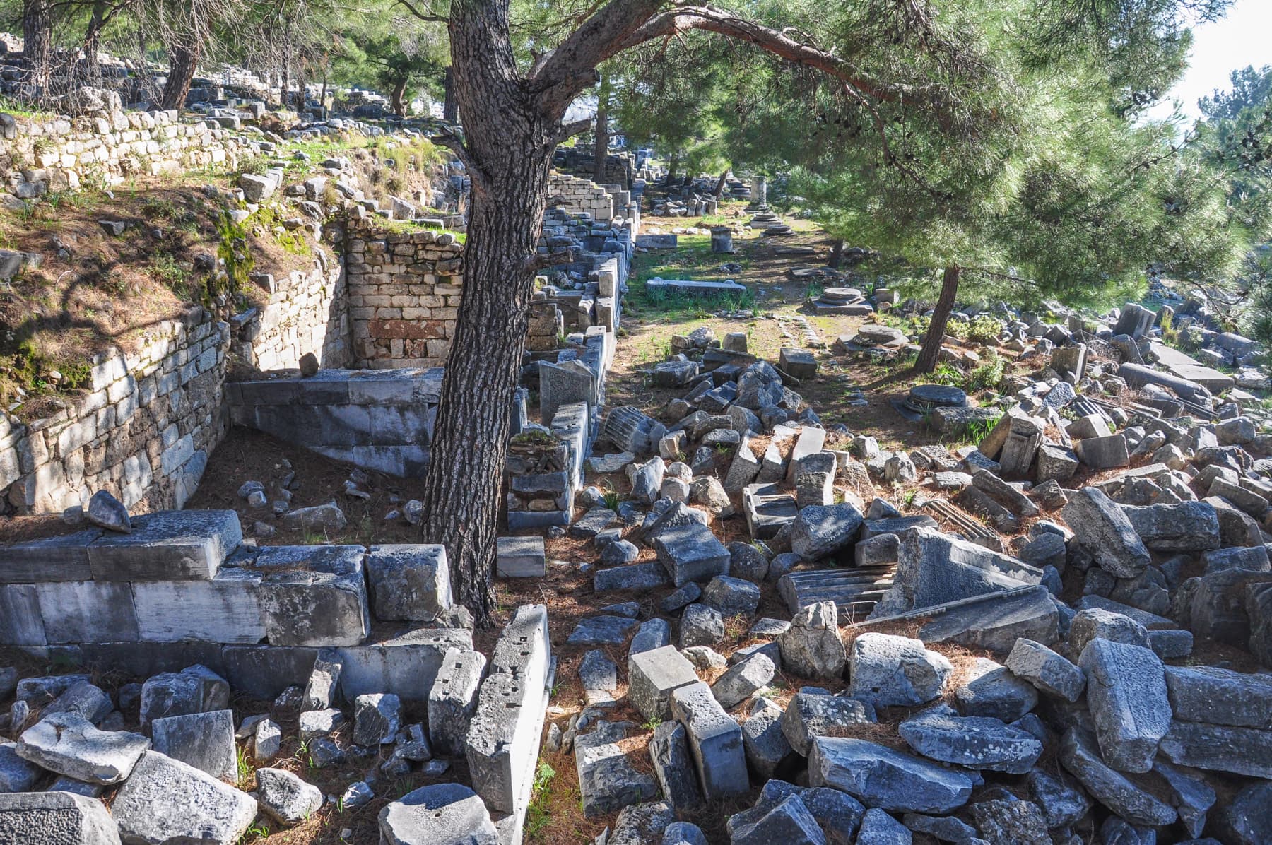 Stoa