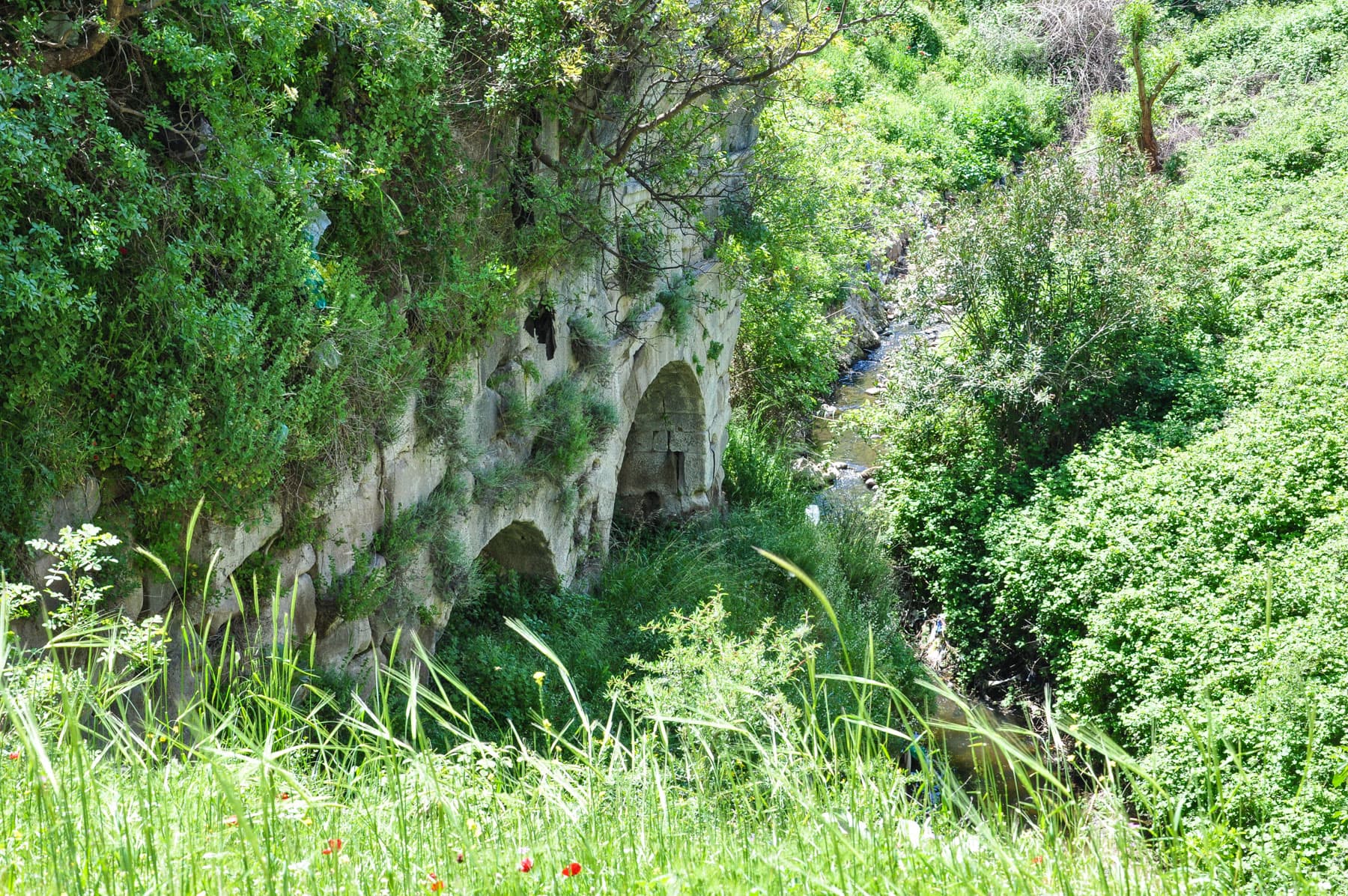 Amphitheater and Arches